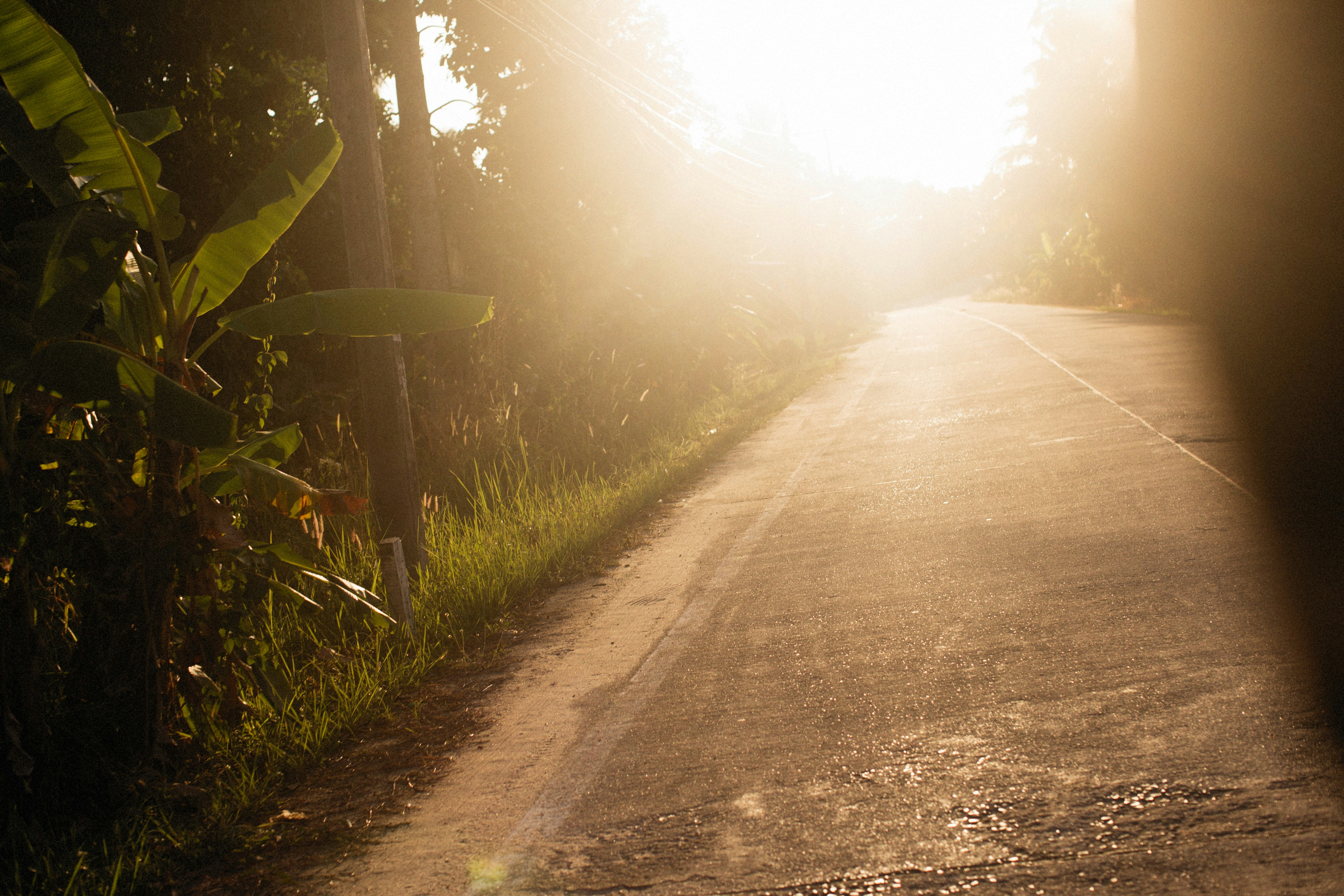 Photo by alexeydemidov