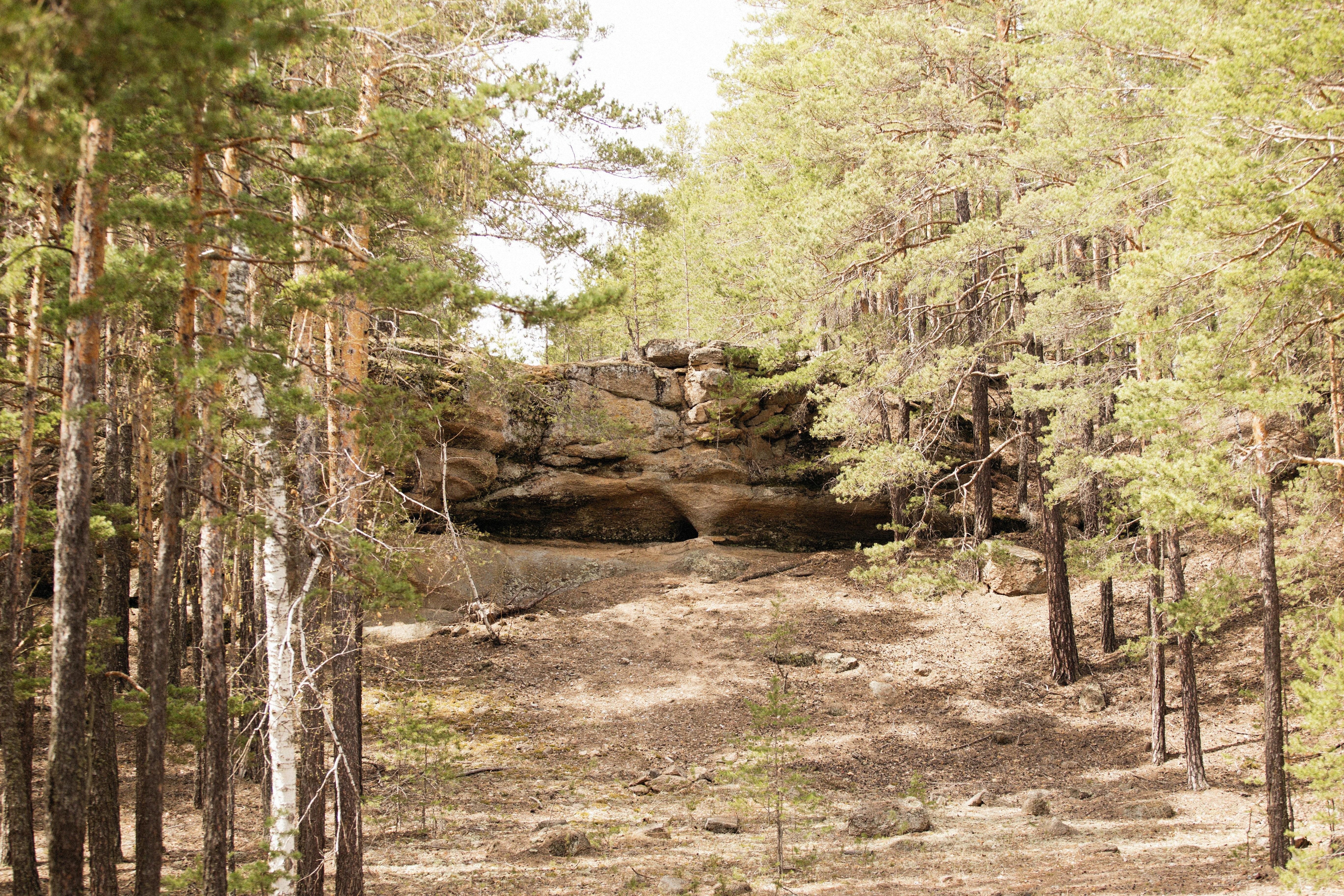 Photo by alexeydemidov