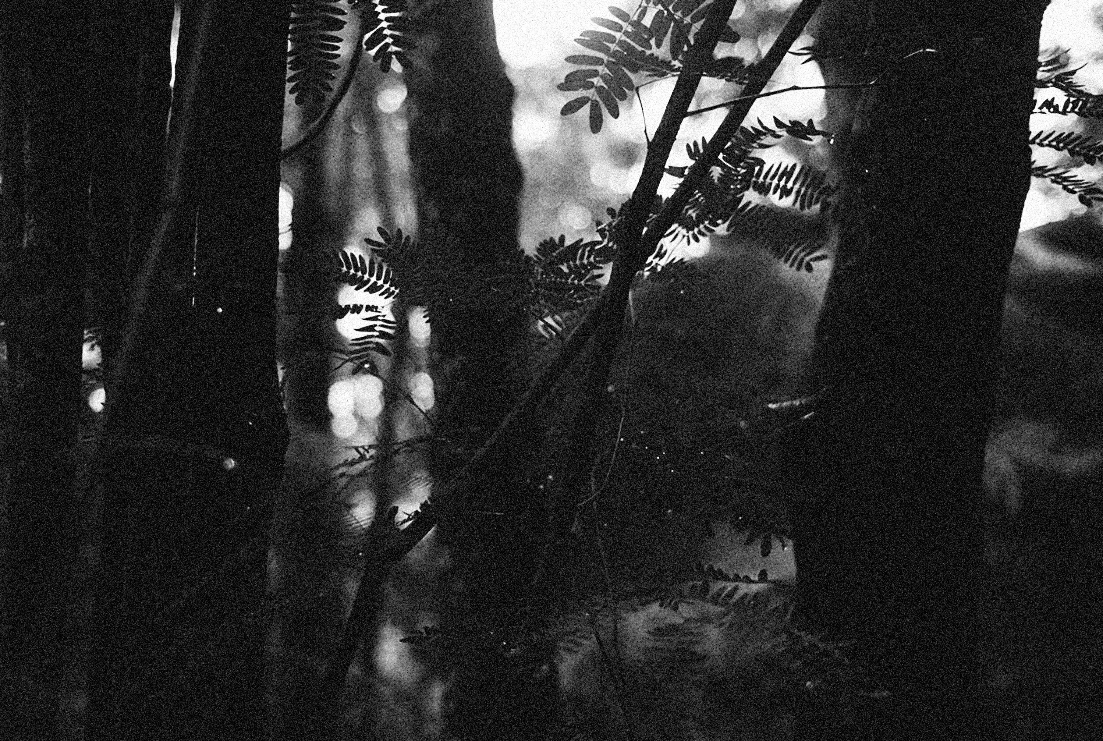 Photo by alexeydemidov