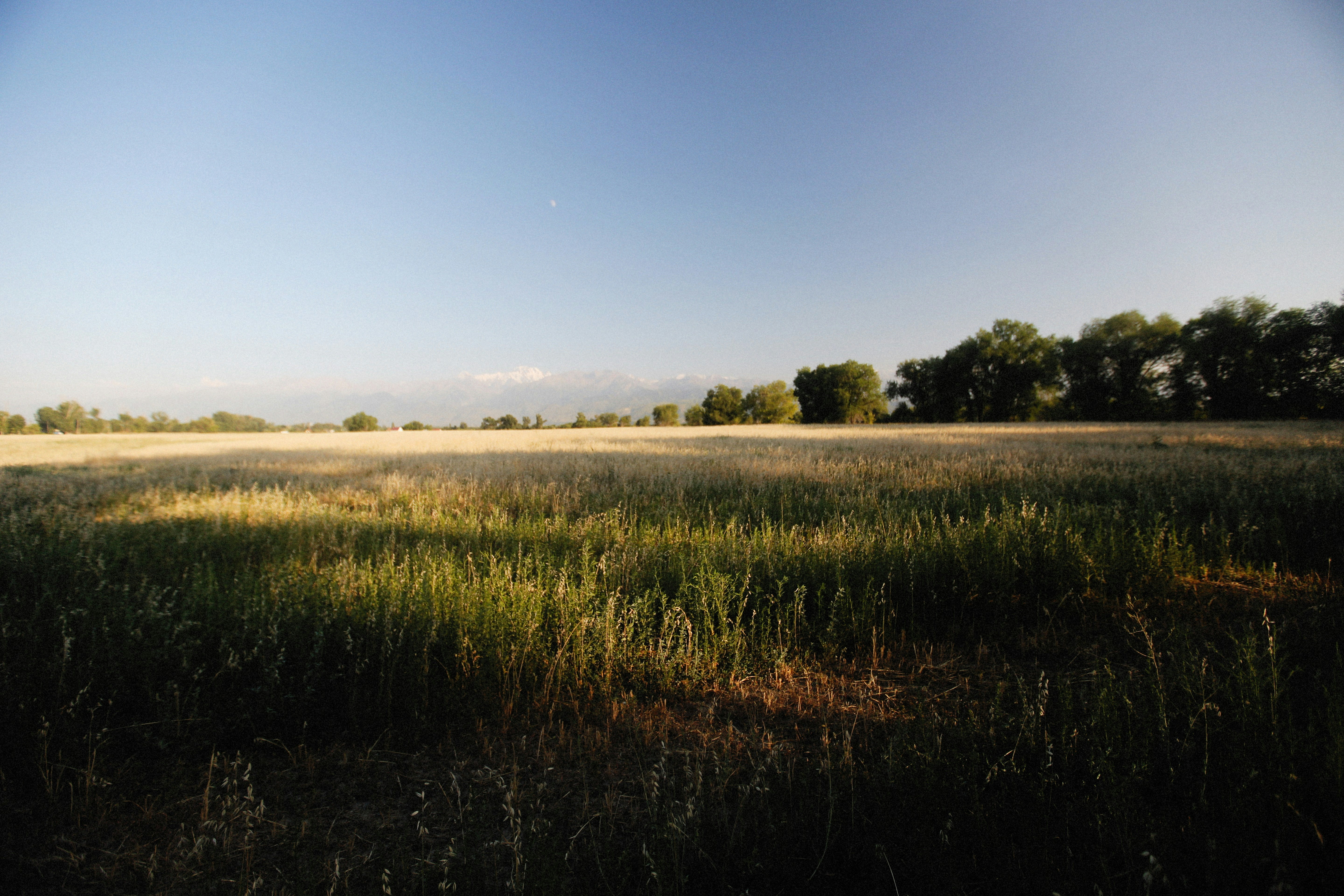 Photo by alexeydemidov