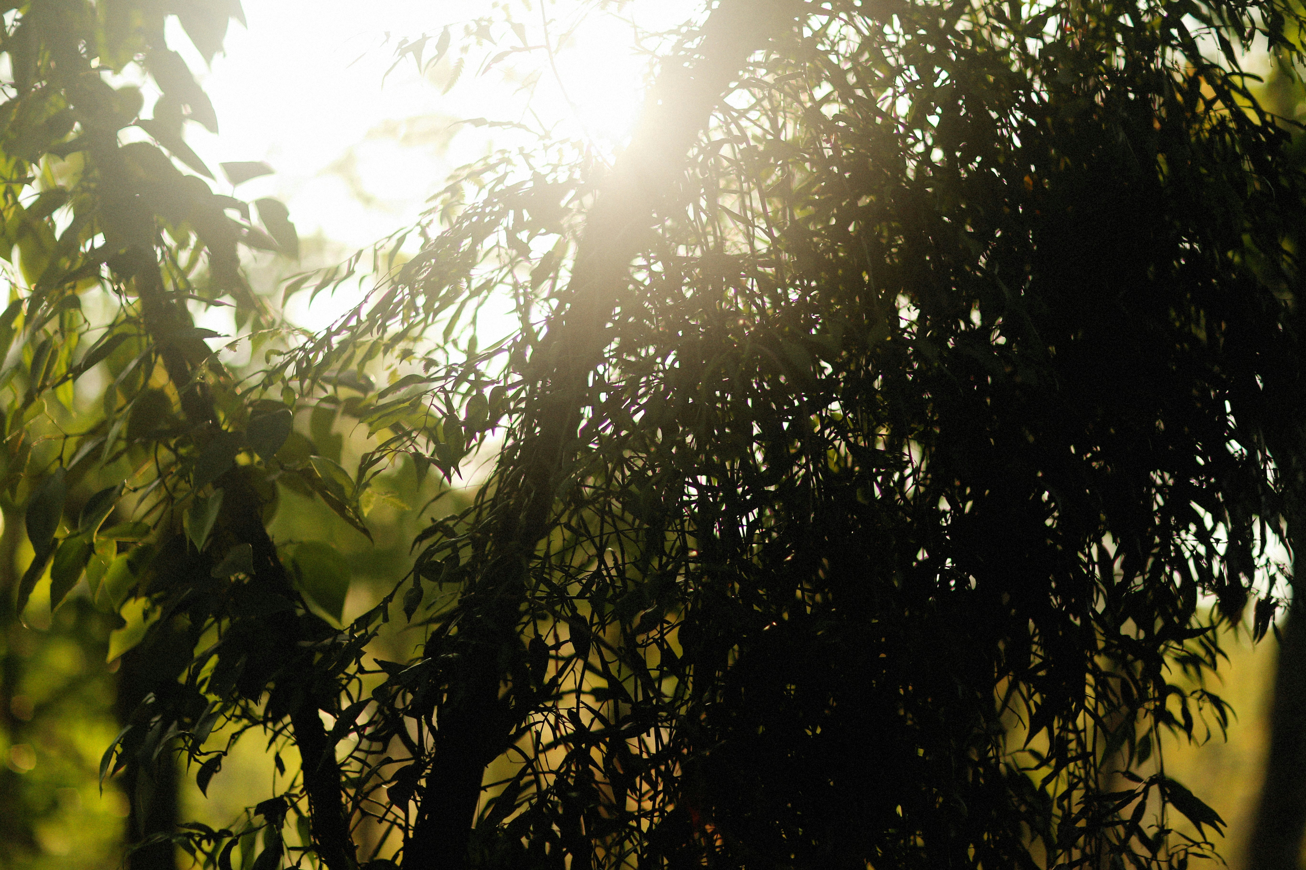 Photo by alexeydemidov