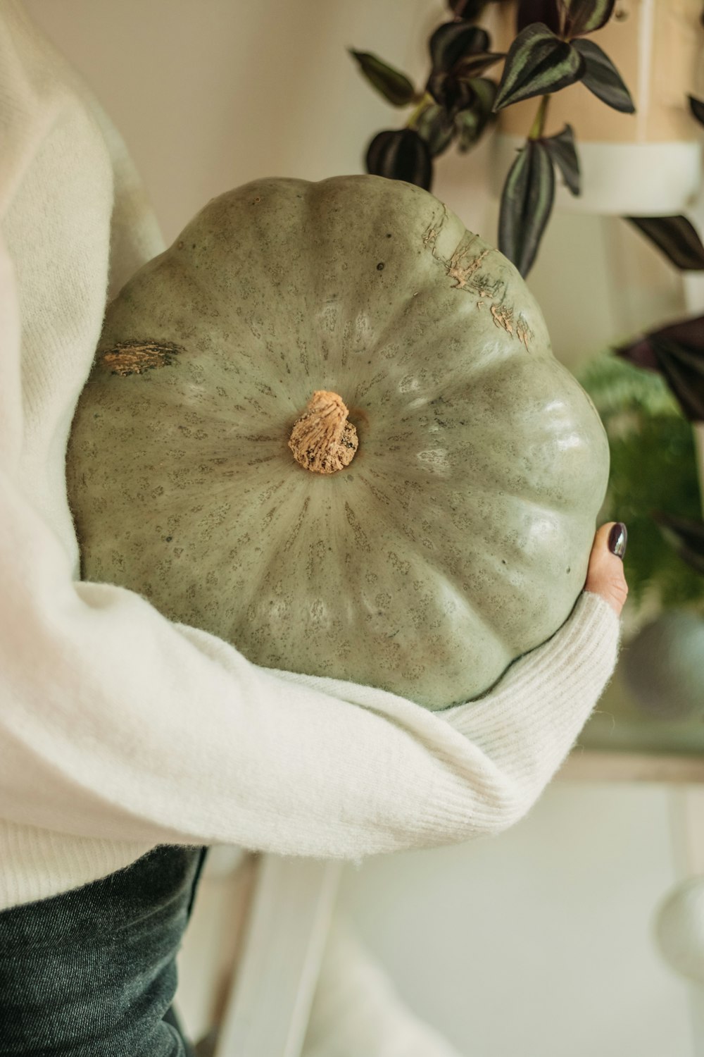 a person holding a large green pumpkin in their hands
