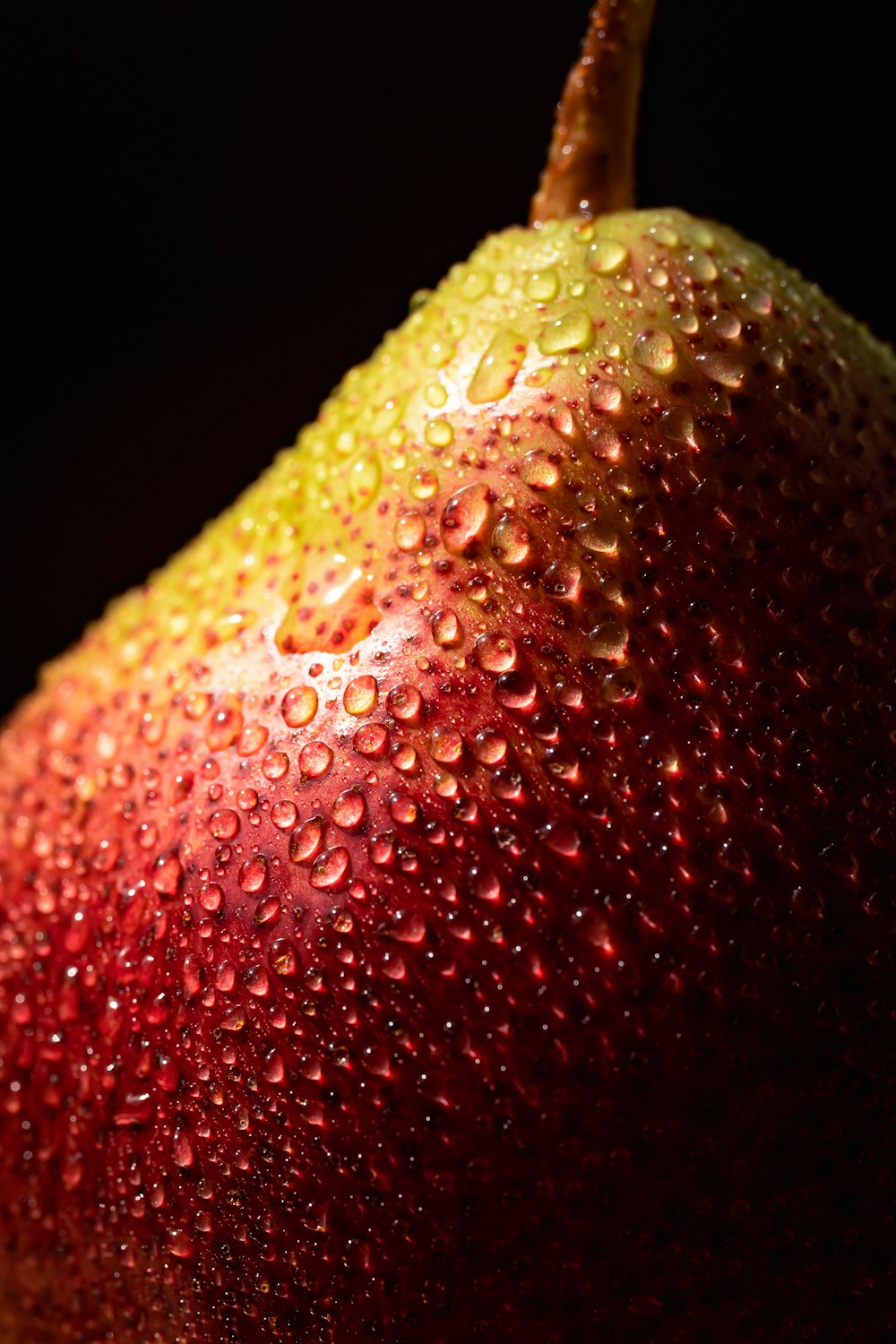 a close up of a red apple with drops of water on it
