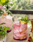 A refreshing pink cocktail is poured into a textured glass filled with ice, garnished with a sprig of mint and a ribbon of rhubarb. Sunlight filters through lush greenery in the background, creating a vibrant and inviting atmosphere. A second glass, similarly garnished, is visible, along with a small glass of fresh mint.