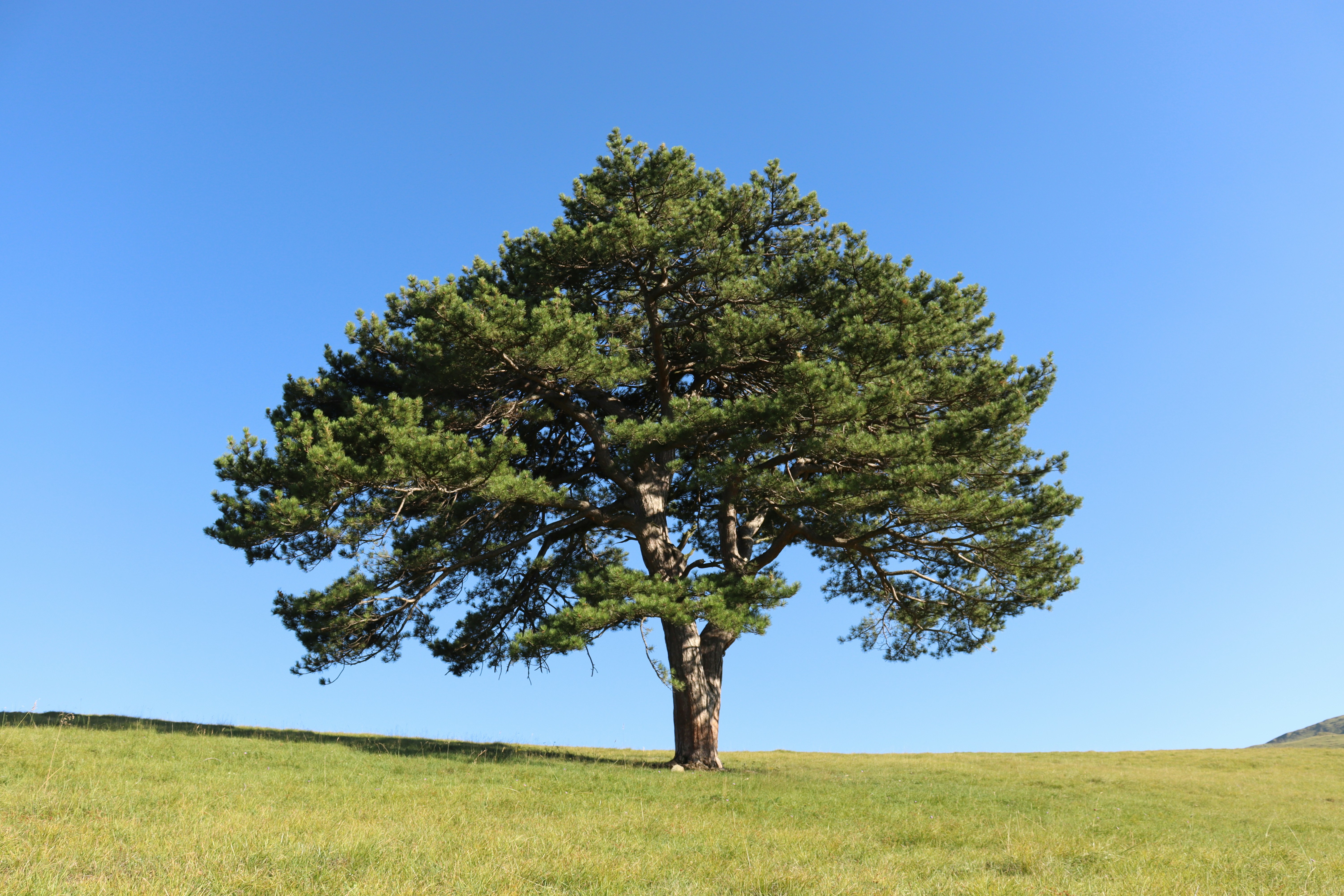 Photo by nadianadia16