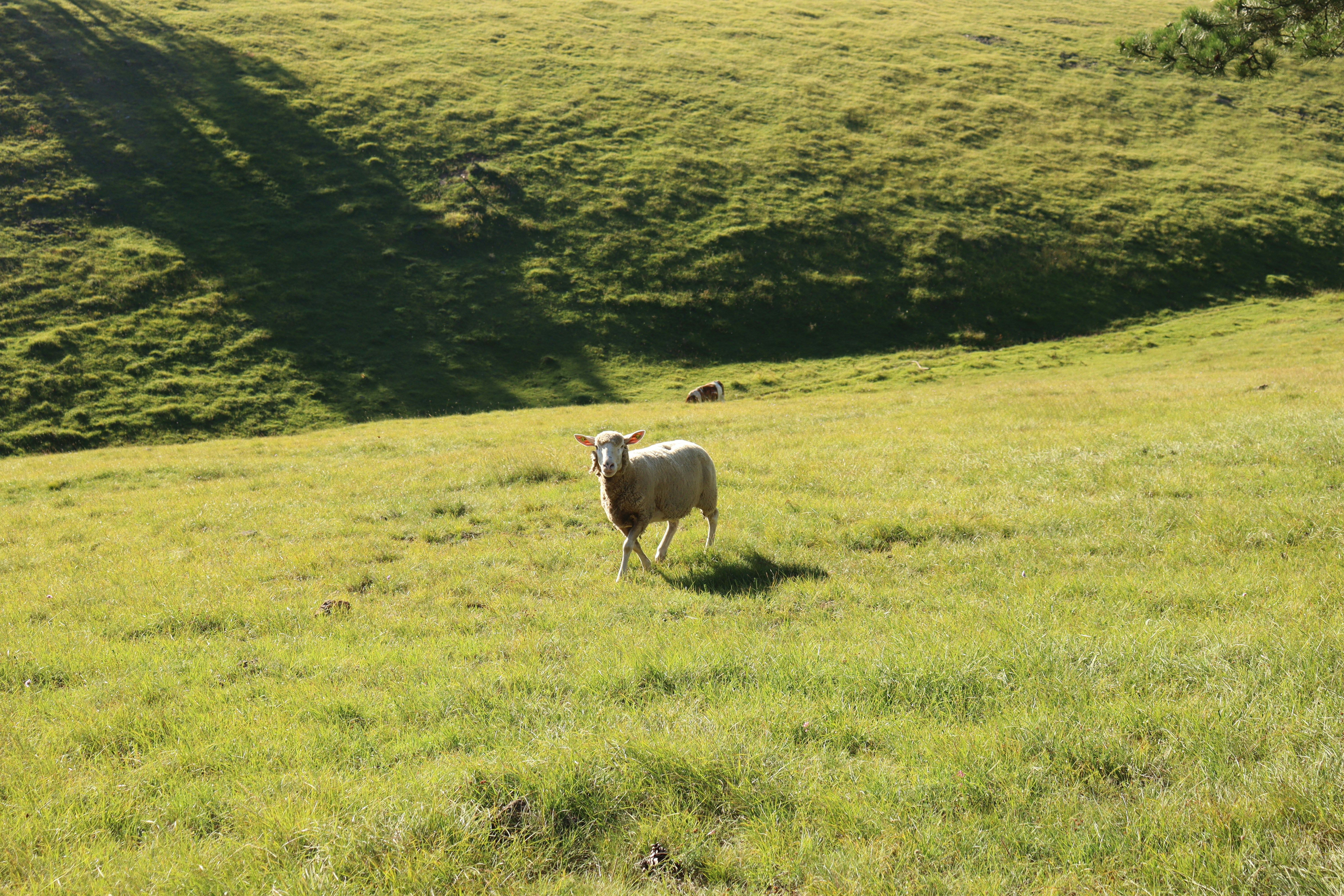 Photo by nadianadia16