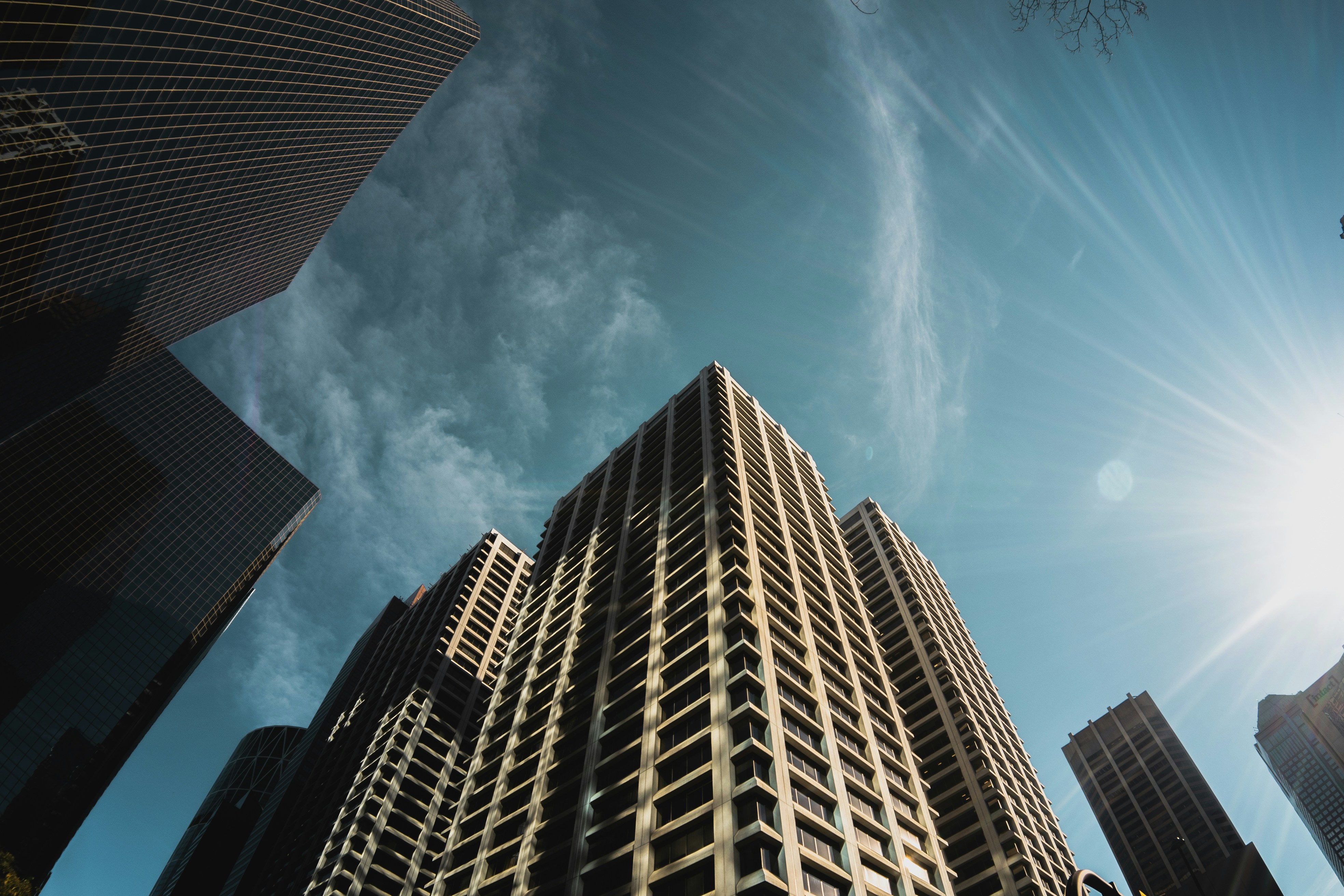 Photo by ryunosuke_kikuno