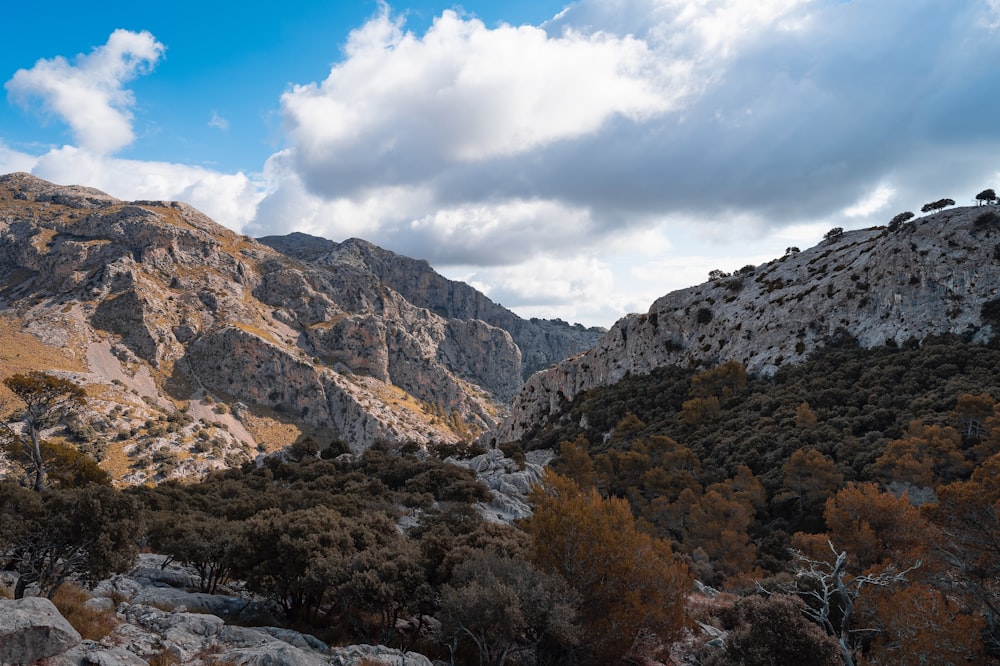 a view of a mountain range with trees in the foreground