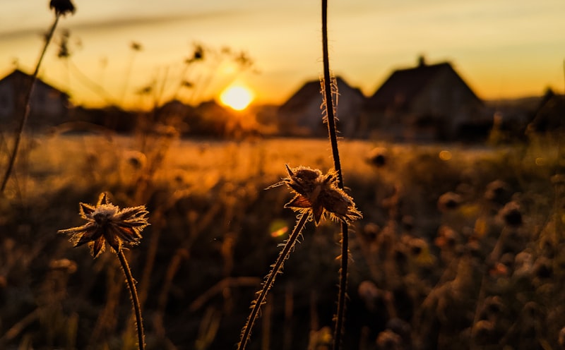 Sonnenlicht über einer offenen Landschaft