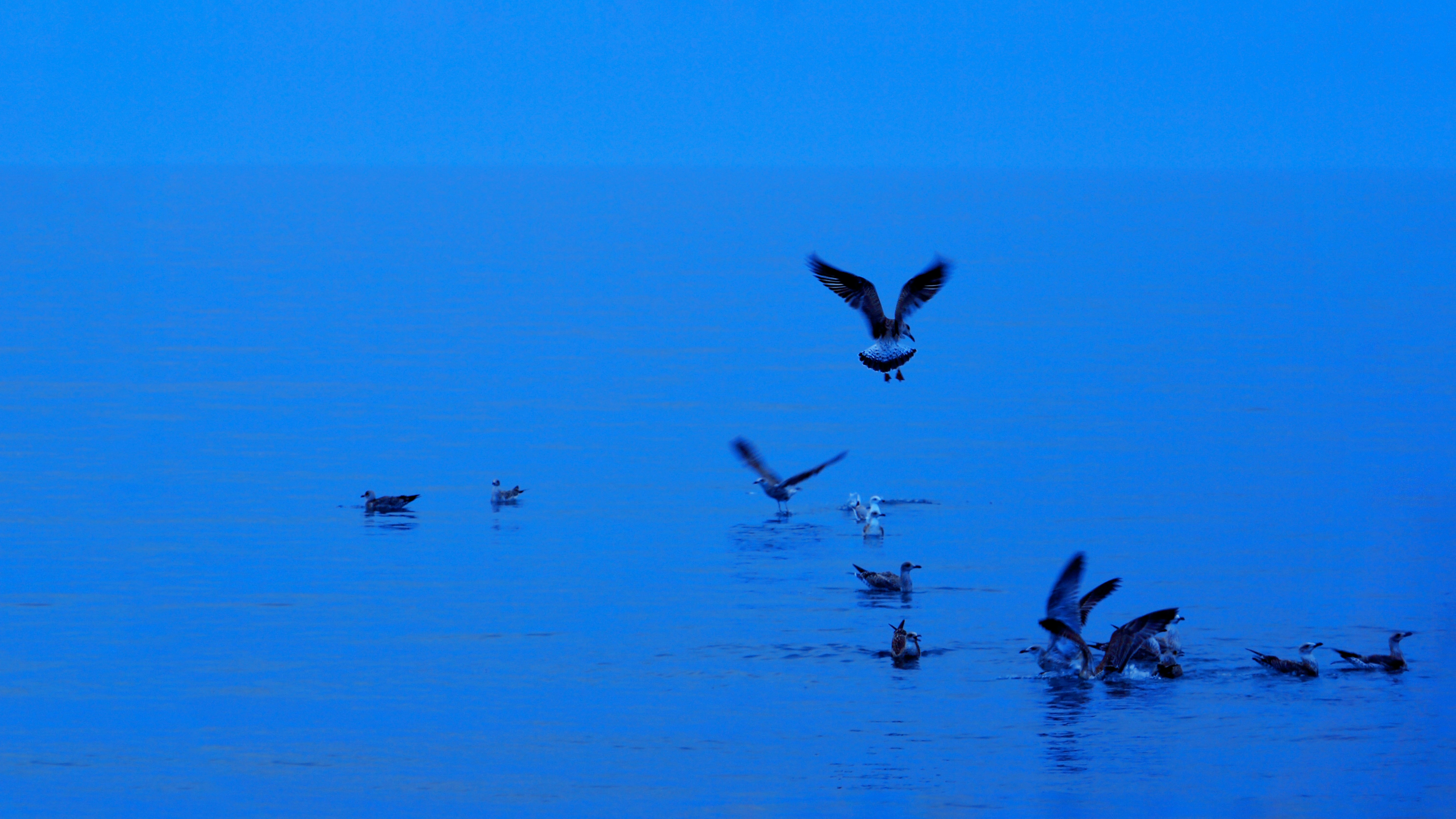 Photo by borisview