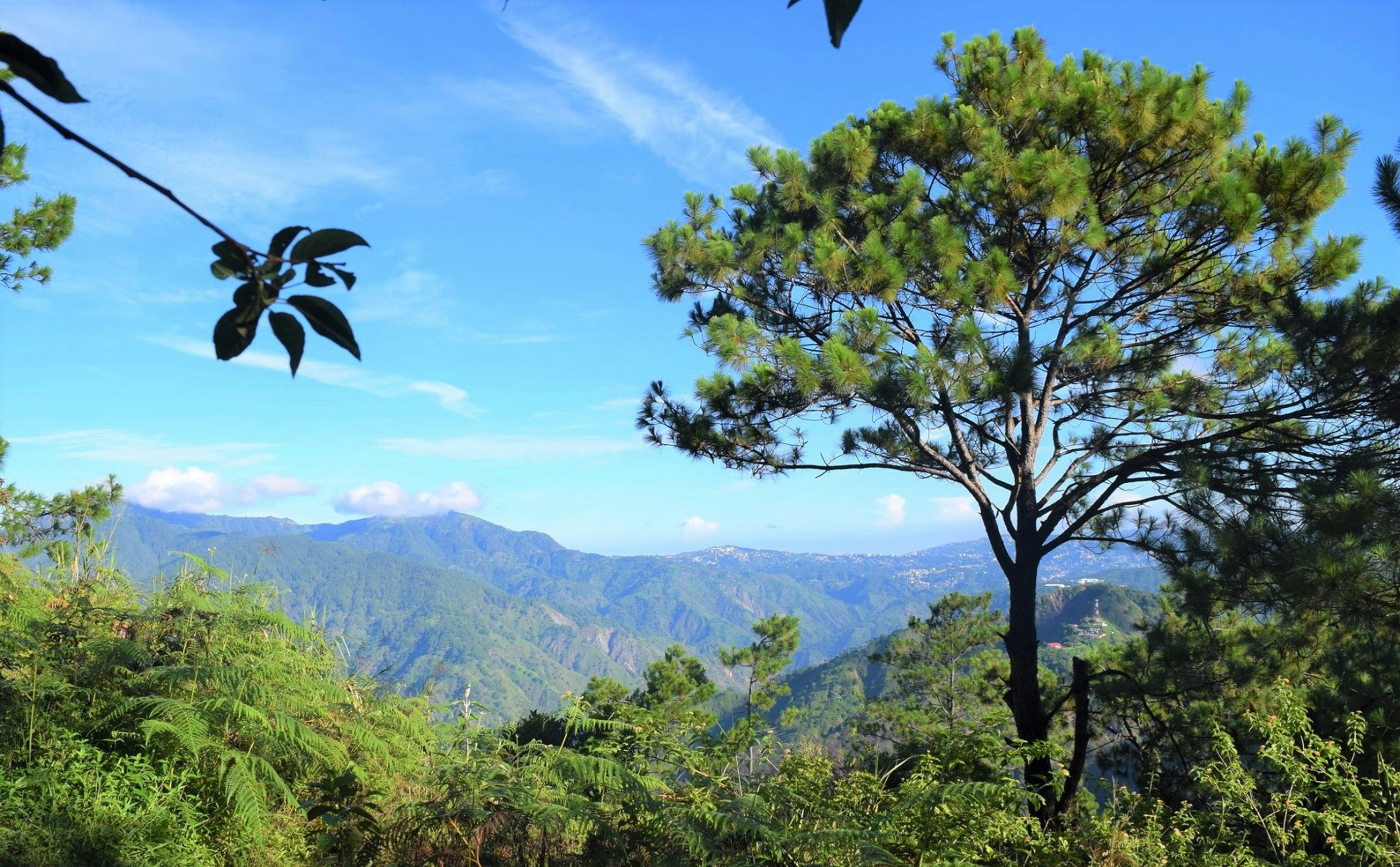 Photo by jannel_ivory