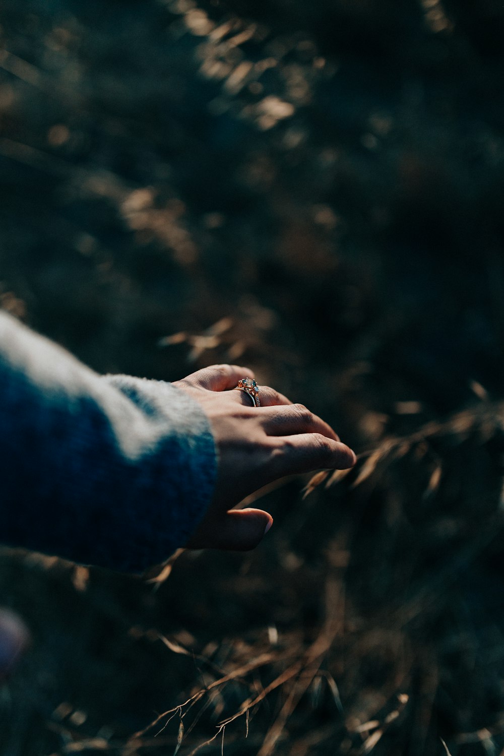 a person holding their hand out in the grass