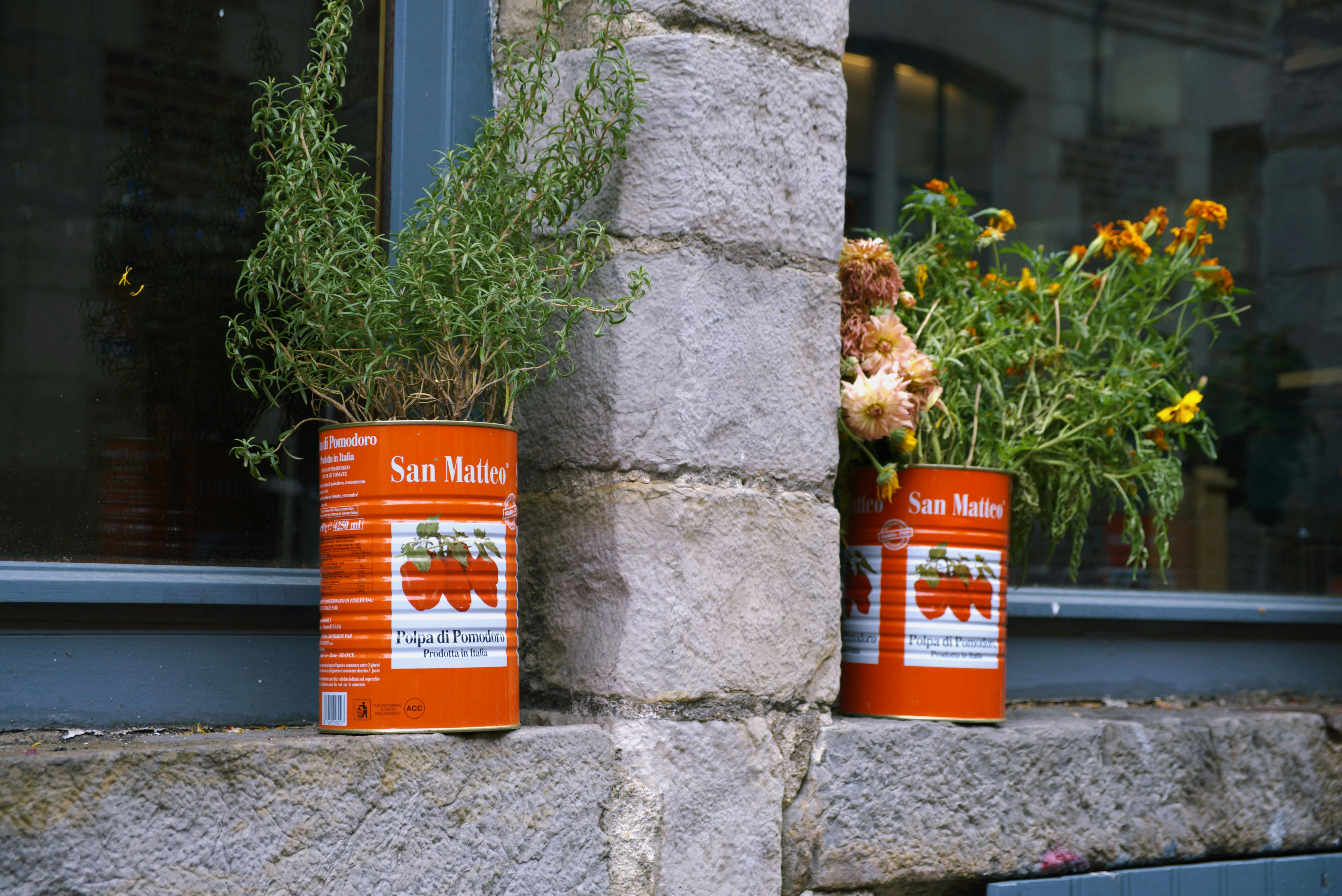a couple of cans that are sitting on a window sill