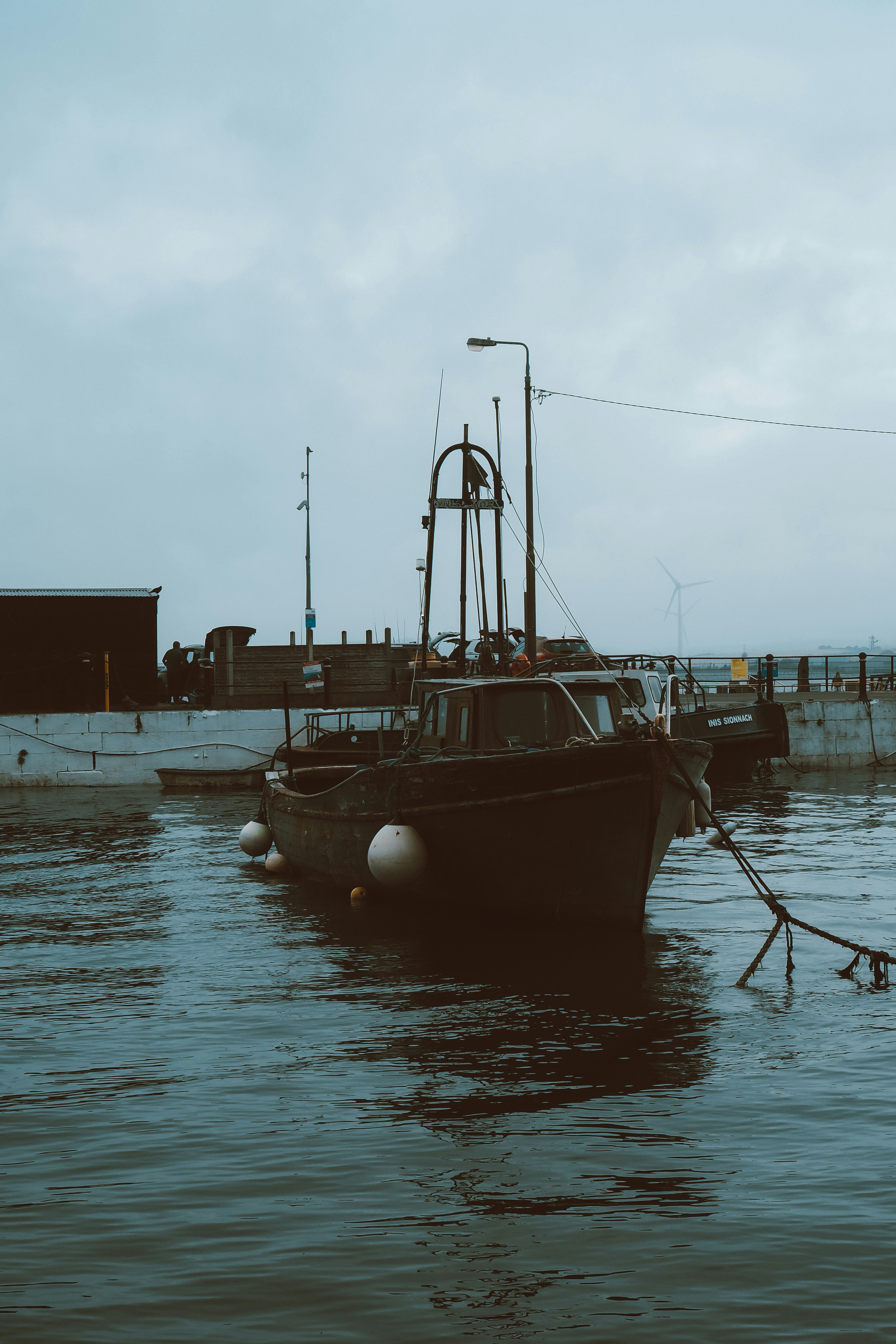 Photo by camelieinpic