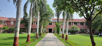 A pathway lined with palm trees leads to a red brick building with a sign that reads 'ALTERNATIVE' and other text which seems to be obscured. The courtyard is surrounded by lush green lawns and various other trees.