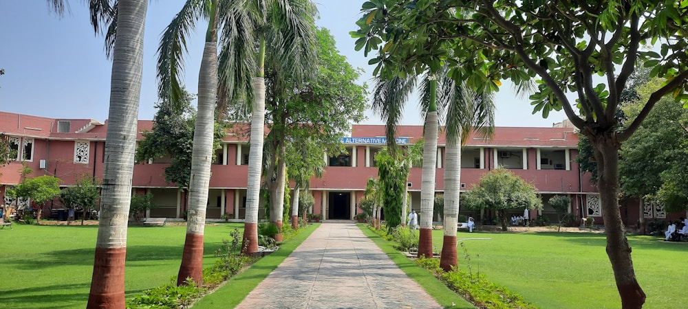 Finding Instant Healing: Alternatives to Pharmaceuticals