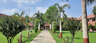 a pathway leading to a building with palm trees