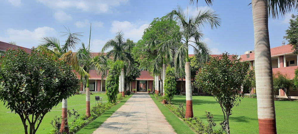 a pathway leading to a building with palm trees