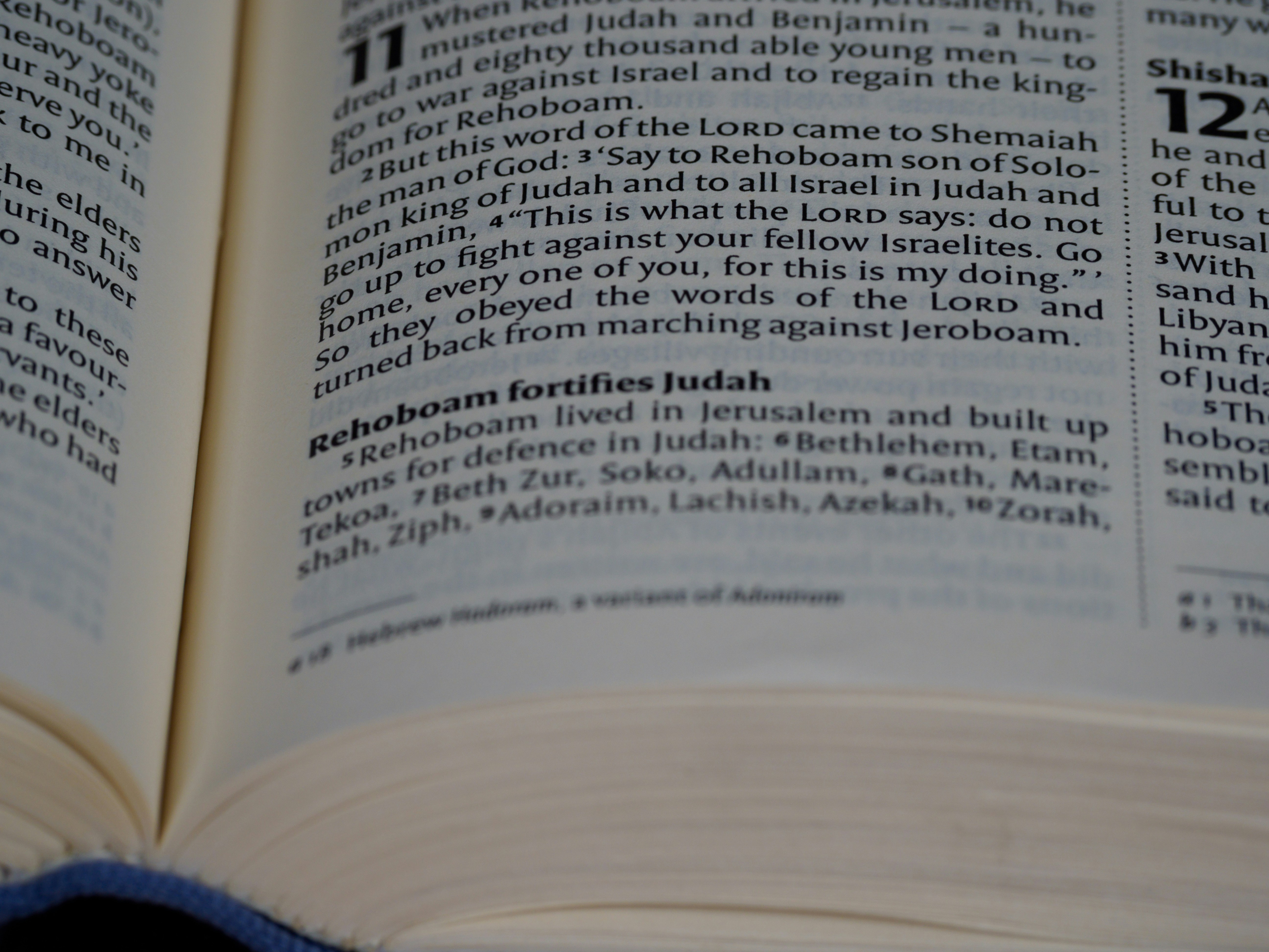 close up, bokeh, macro, blur, blurred background, close focus, bible, old testament, hebrew bible, christian, judaism, history, text, reading, bible study, devotions, text, NIV, New International Version, type, typography, canon, christianity, holy scripture, holy bible, scripture, chronicles, 2 chronicles, דִּבְרֵי־הַיָּמִים, Diḇrê Hayyāmîm, hebrew bible, final book, ketuvim, tanakh, septuagint, Paralipoménōn,  Books of Paralipomenon, second chronicles, historical, ancient near east texts, anet,

<p>” style=”max-width:400px;float:left;padding:10px 10px 10px 0px;border:0px;”></p>
<p>👉 Rejoigneｚ dès aujourd’hui Stay Casino Withdraᴡal et transformez chaque session de jeu en une aventure inoubliable.</p>
<p>Stay Casino Withdrawal – Votre succès commence dèѕ le premier cⅼic.</p>
<p><em>Retraits rapіdes, gains garantis, plaisir assuré.  <a href=