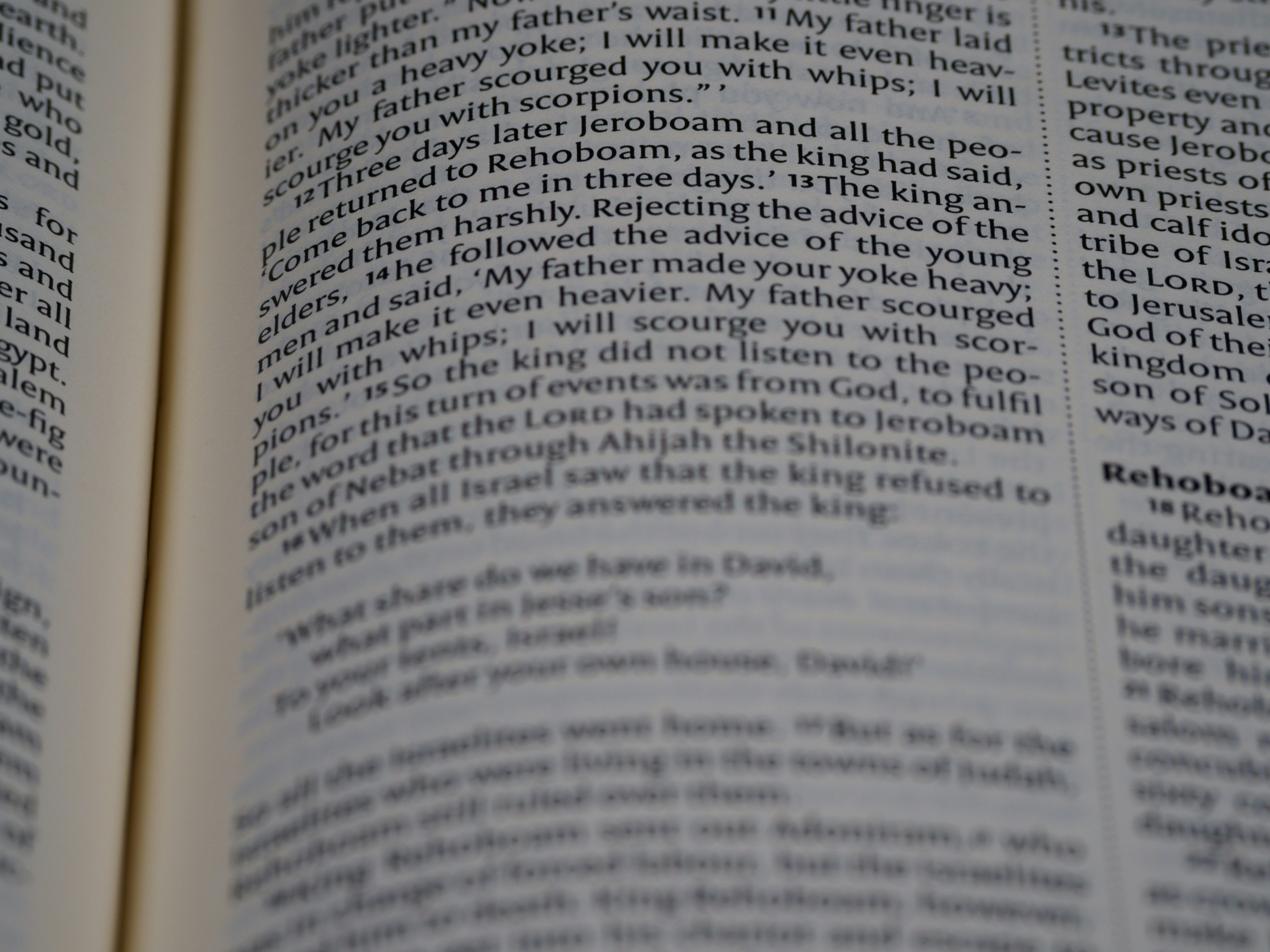 Photo by brett_jordan