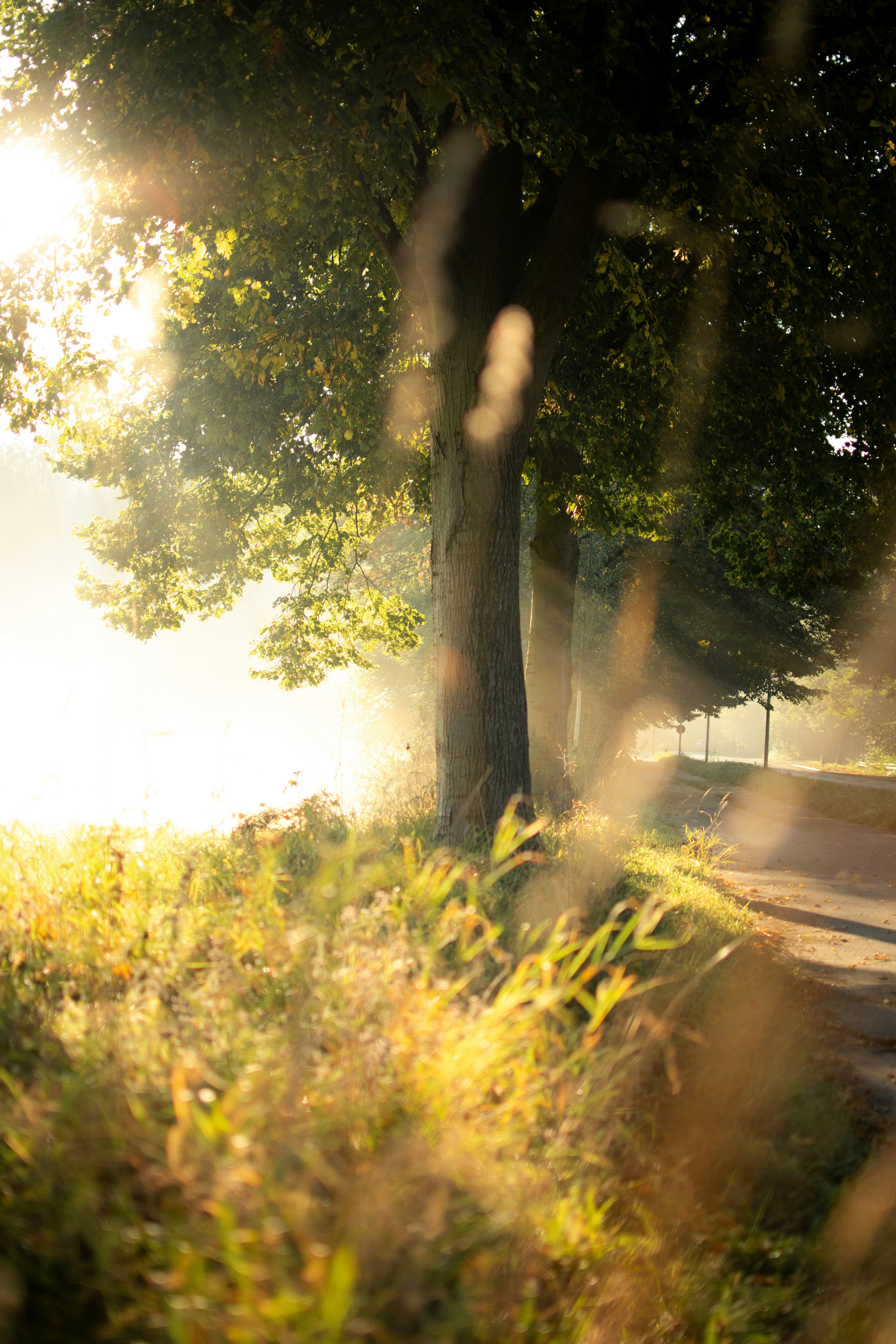 Choose from a curated selection of landscape photos. Always free on Unsplash.