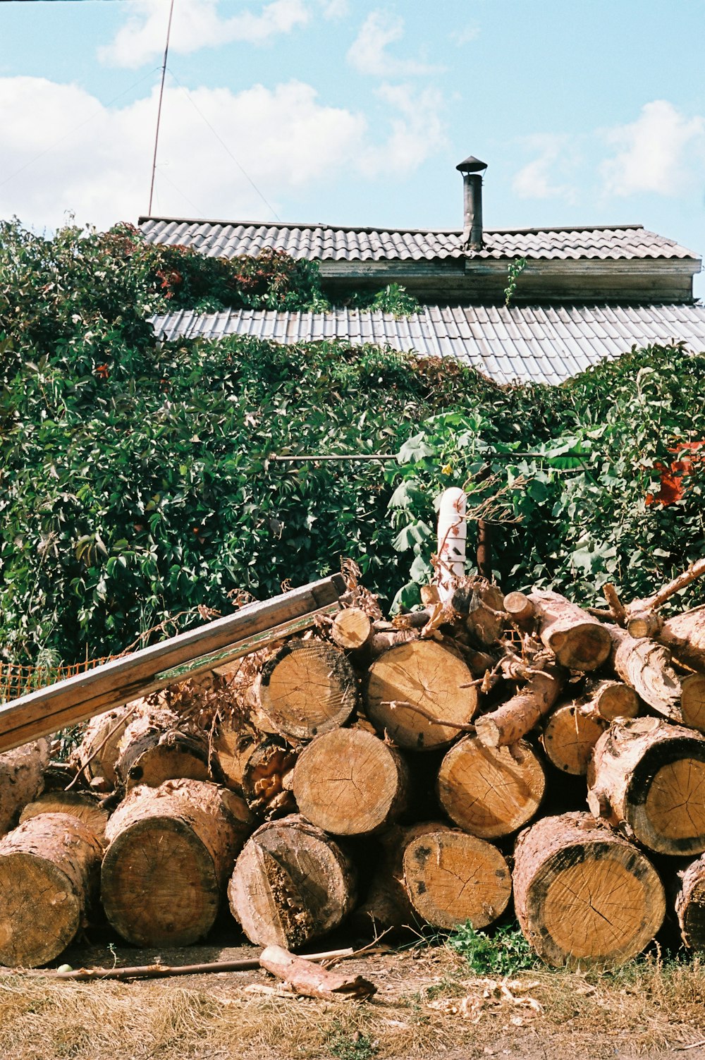 a pile of logs sitting in front of a house