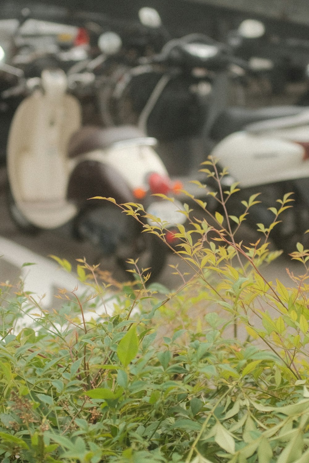 a group of motorcycles parked next to each other