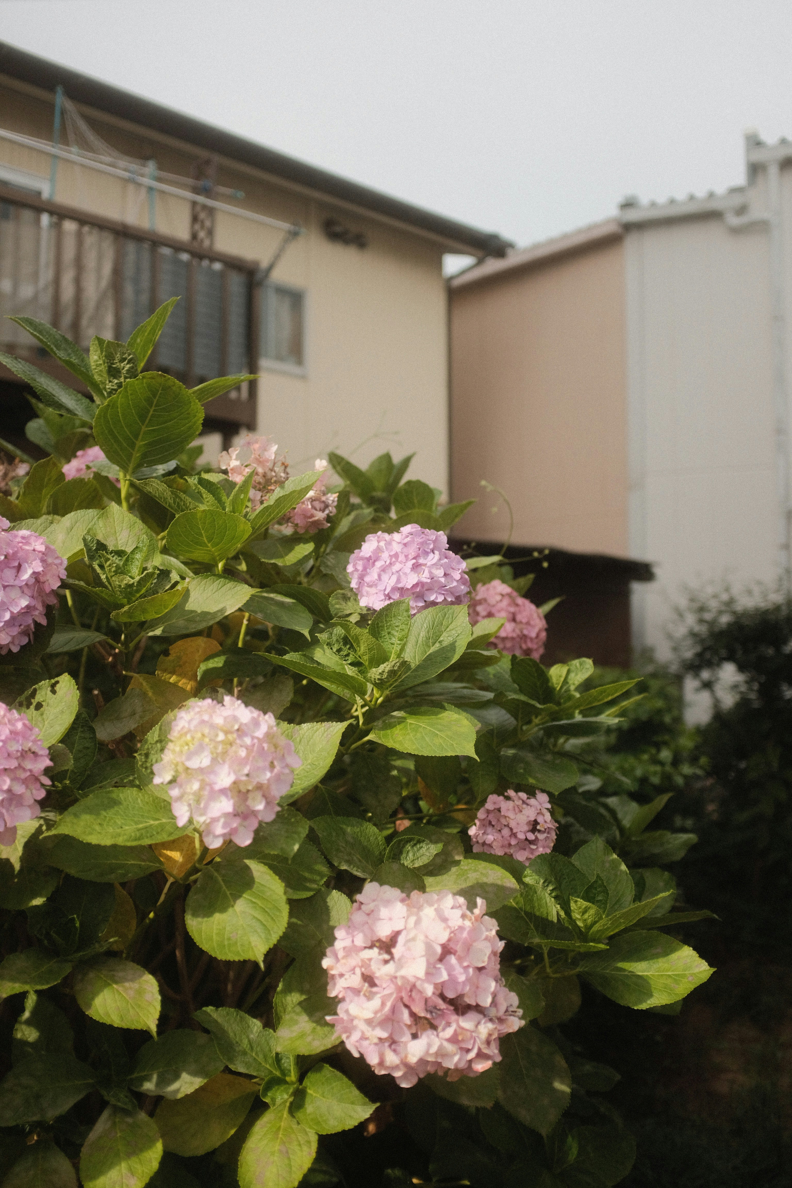 Photo by mak_jp