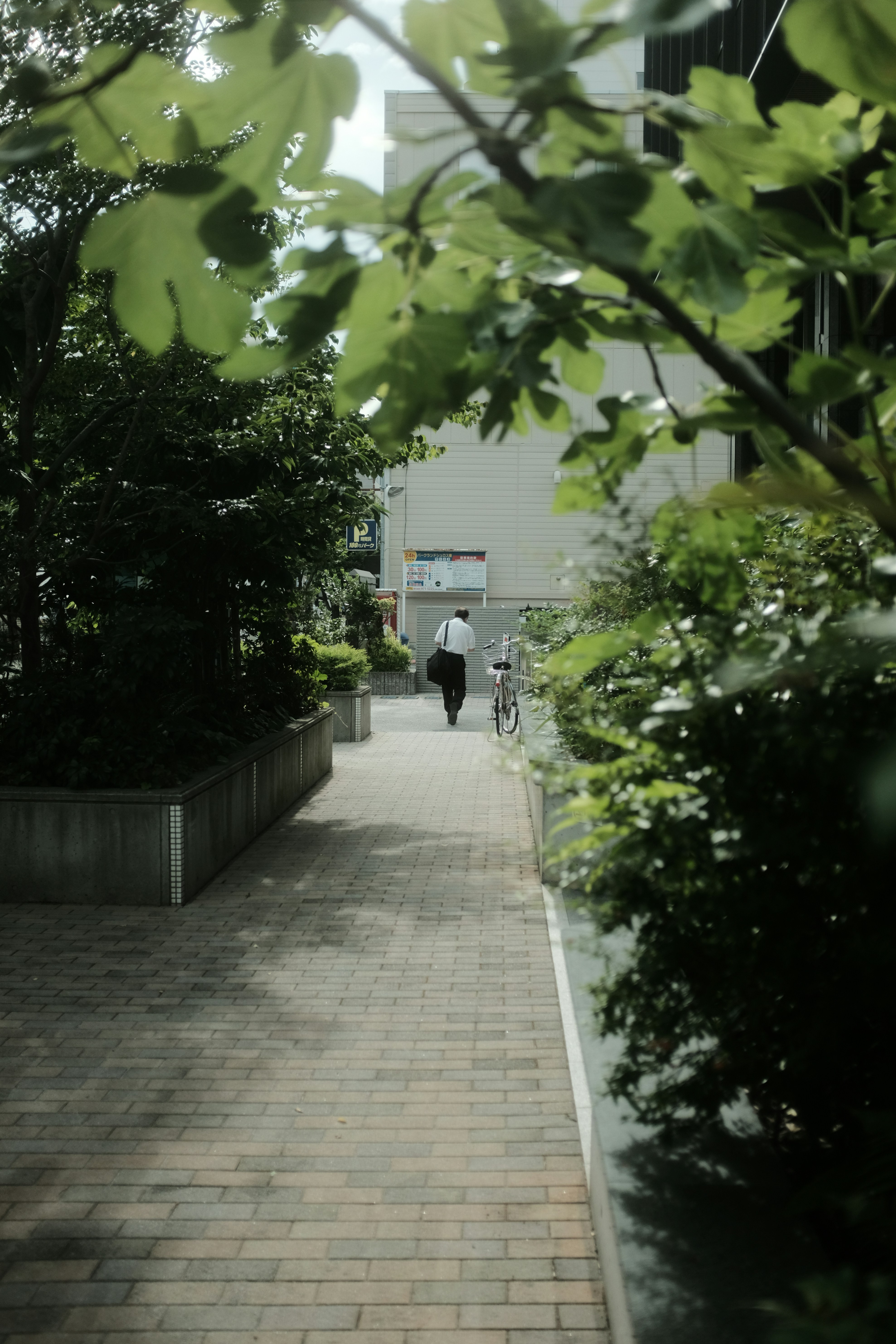 riding bicycle on sidewalk
