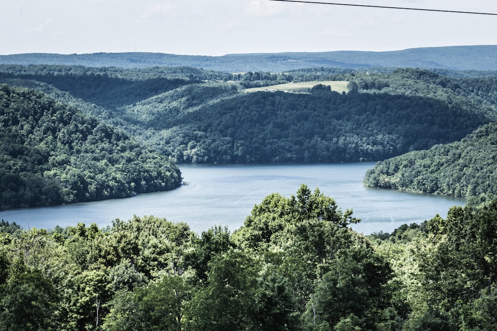 a view of a lake surrounded by trees