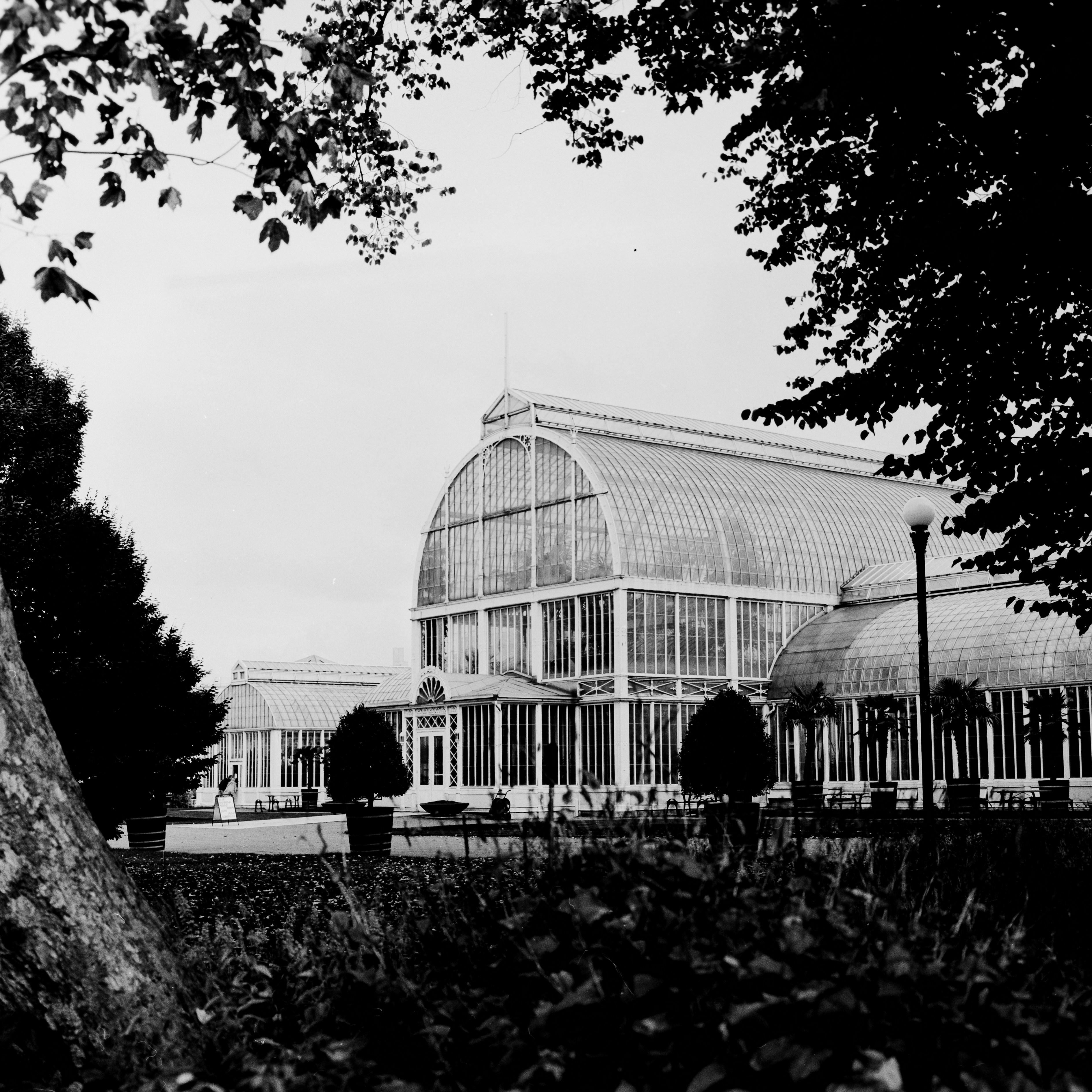 Photo by theoeilertsen