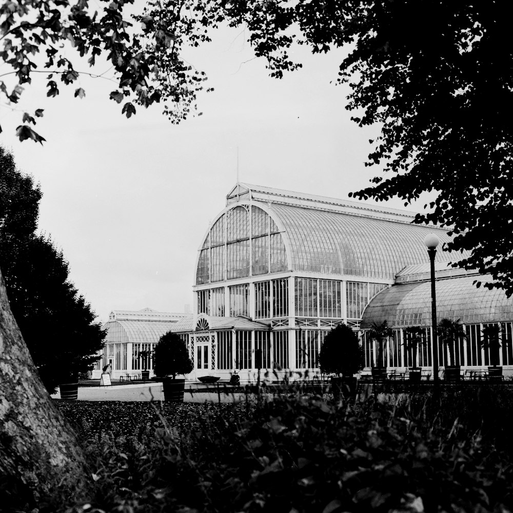 a black and white photo of a glass house