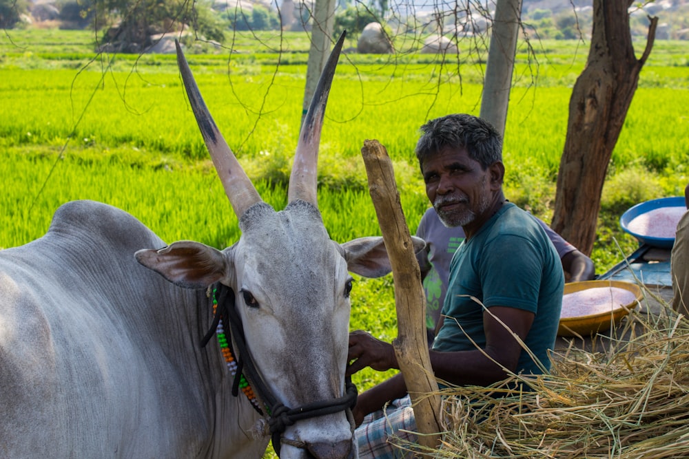 a man standing next to a cow in a lush green field