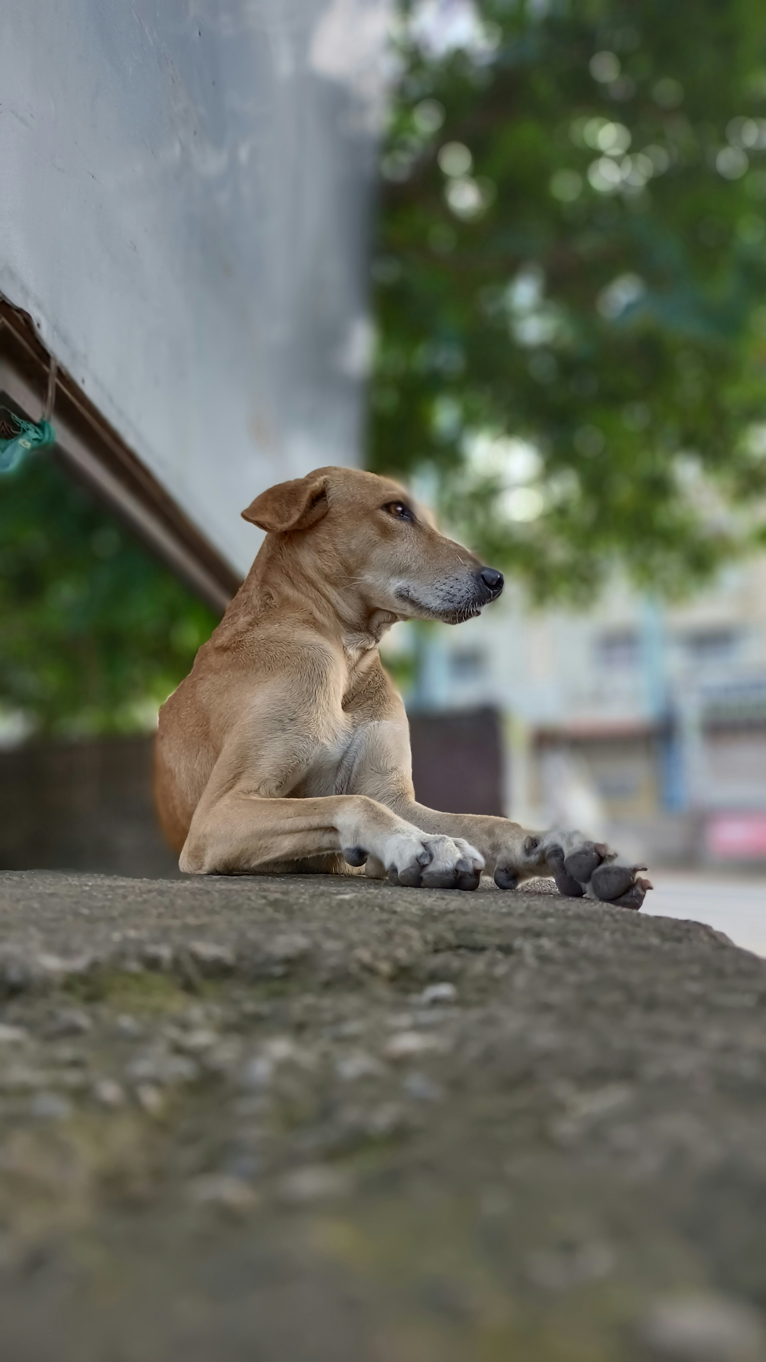 Photo by snape23photo