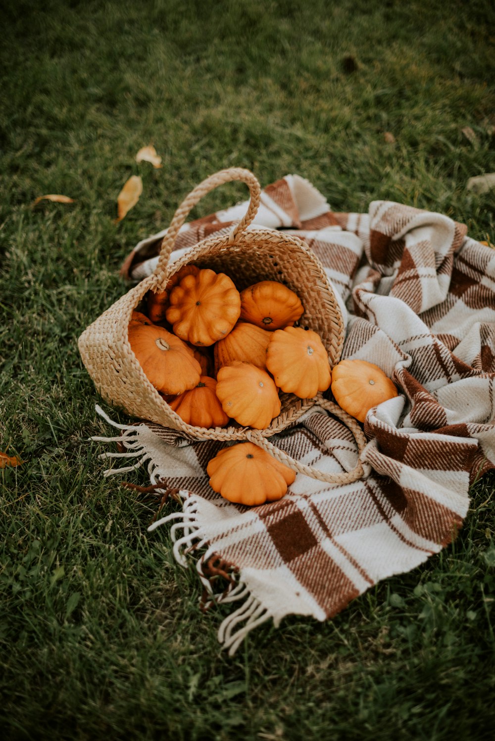 a basket of pumpkins on a blanket on the grass
