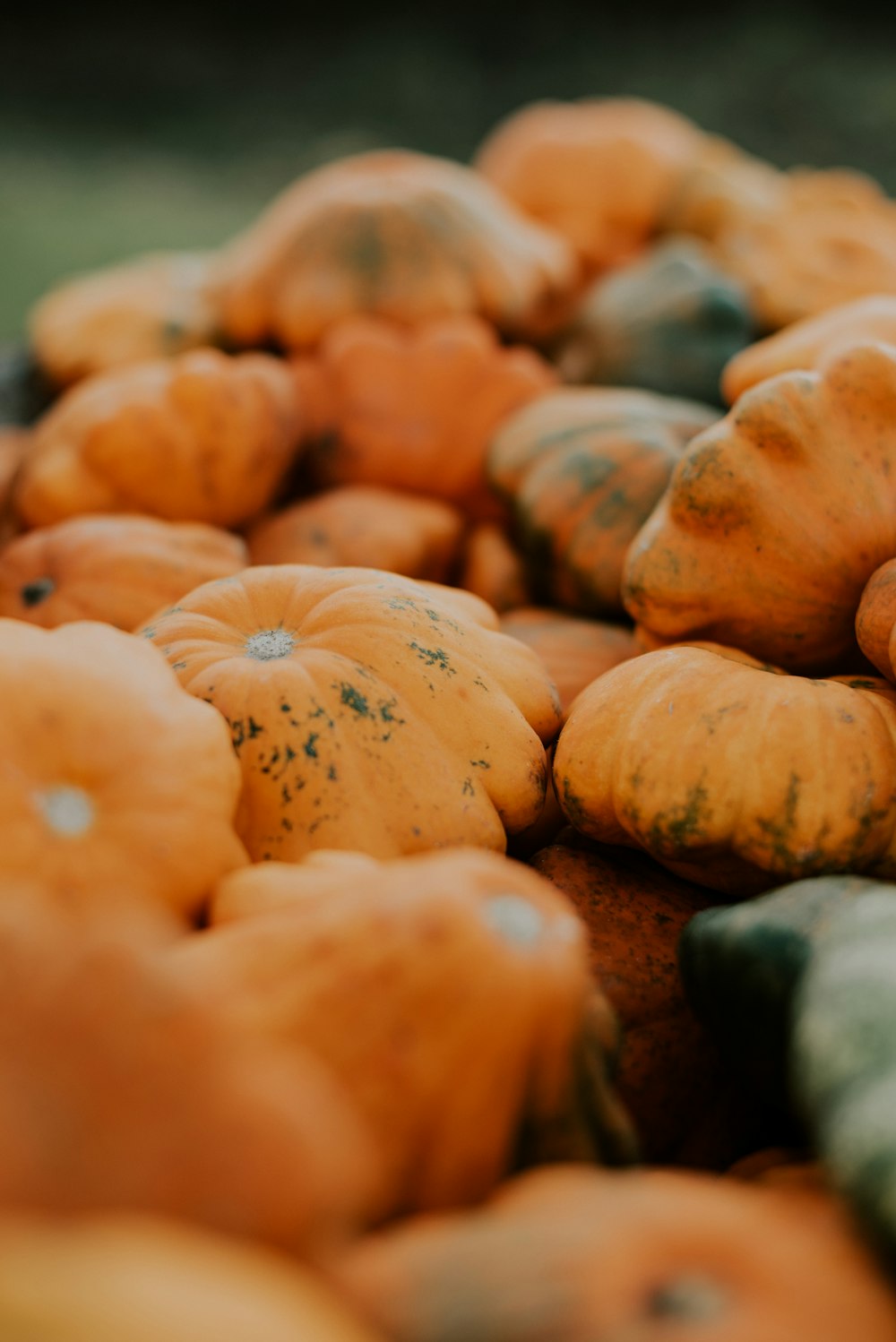 a pile of pumpkins sitting next to each other