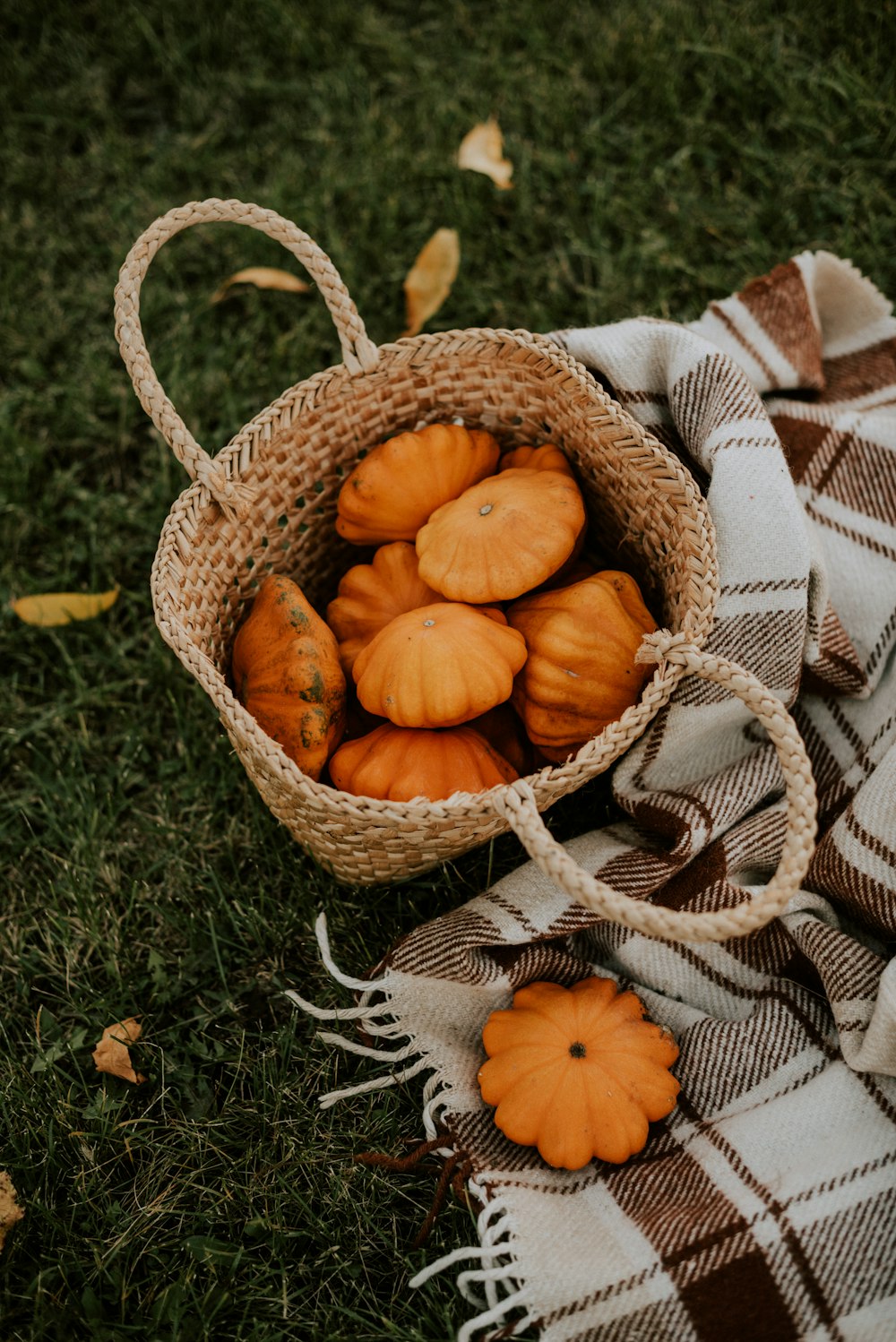 a basket of pumpkins on a blanket on the grass