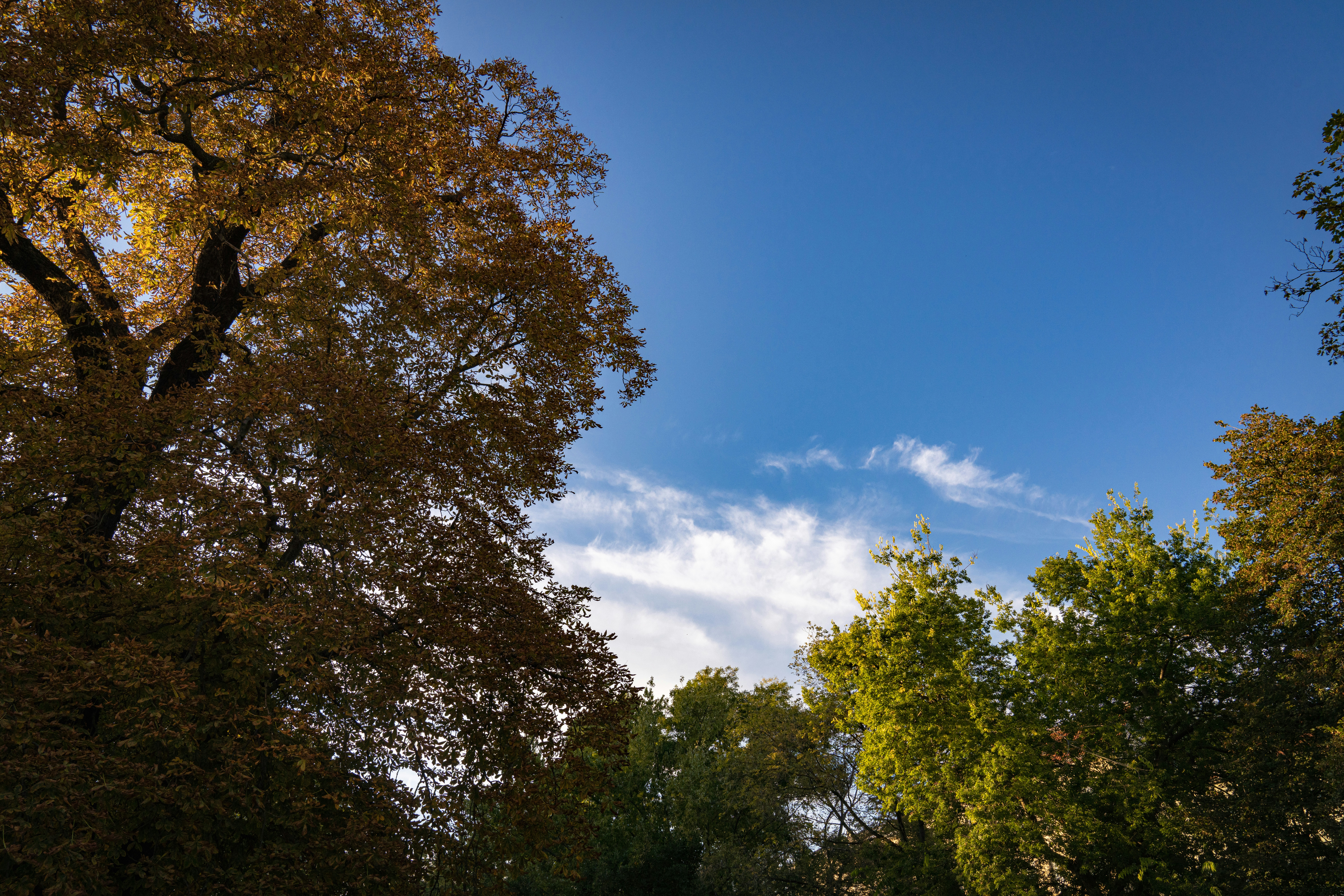 Photo by nilsschirmer