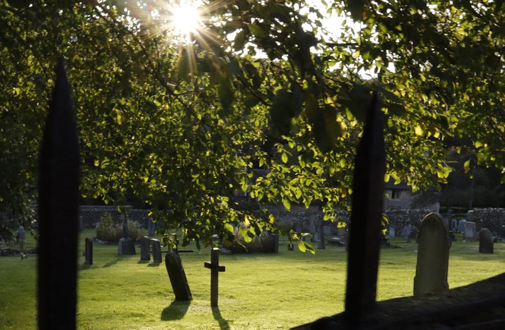 the sun shines through the trees in a cemetery