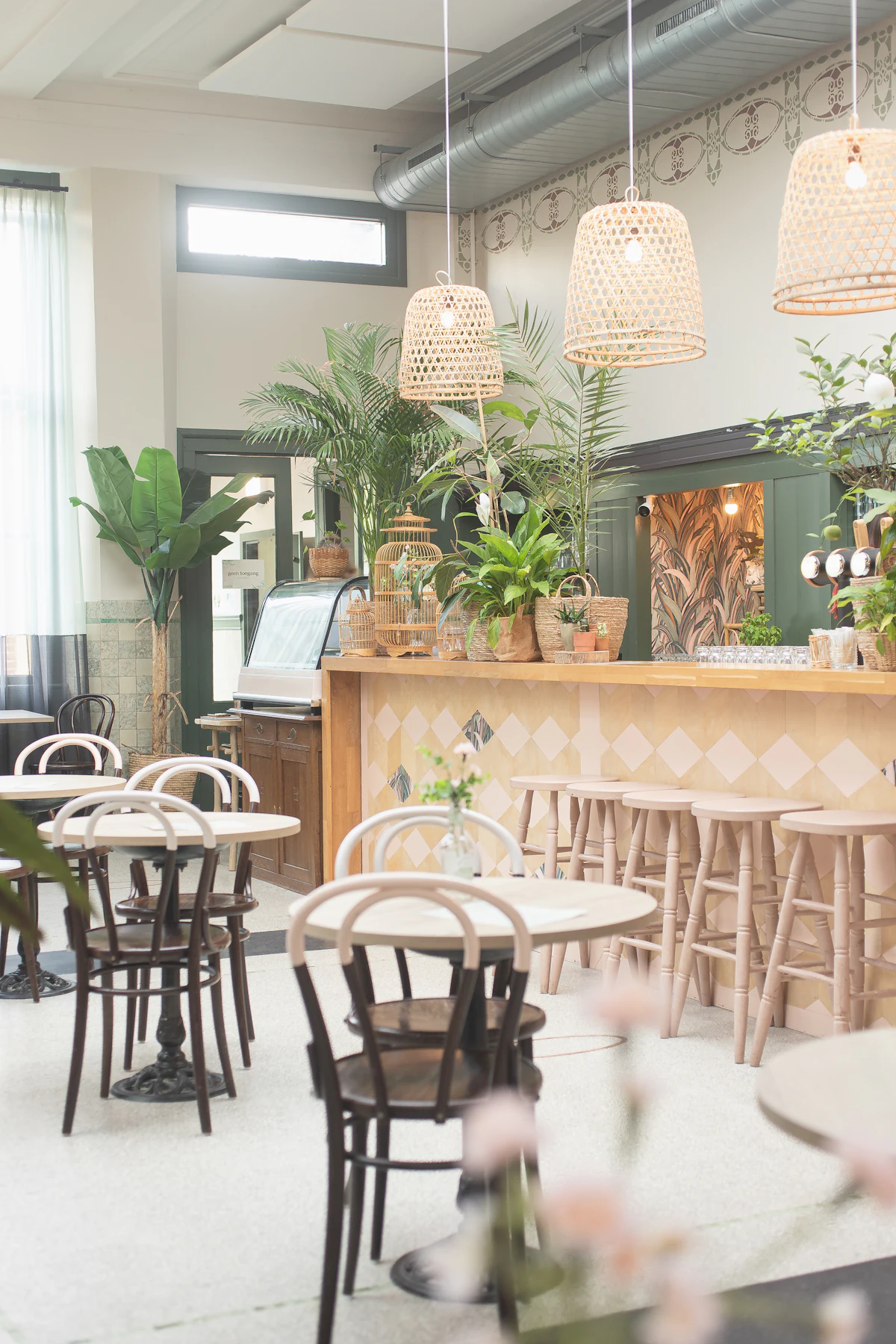 Bright cafe with plants and wooden chairs