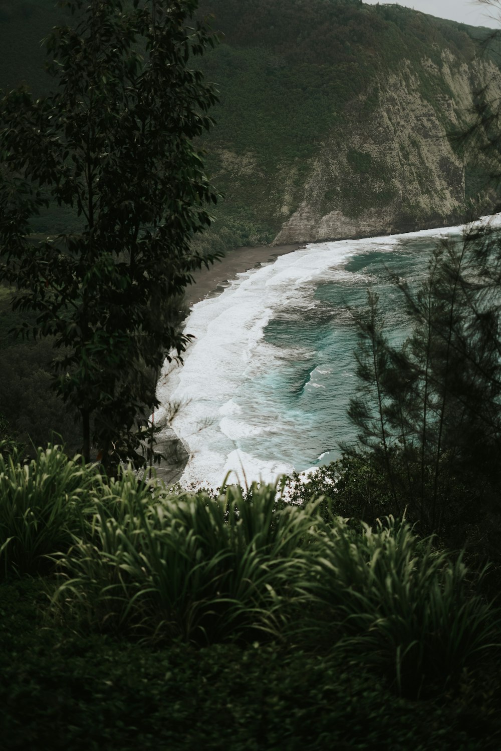 a view of a body of water from a hill