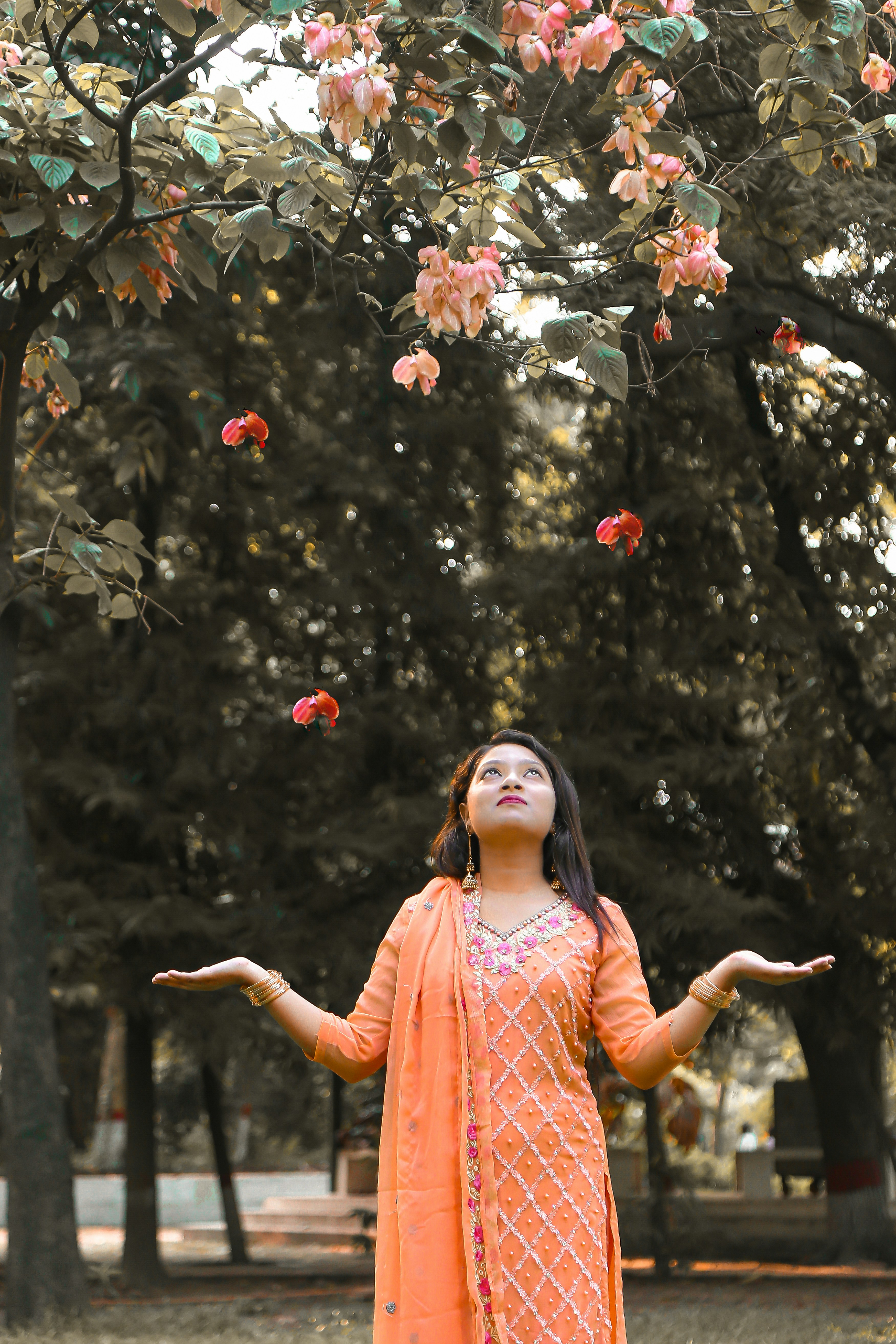 Photo by shouravsheikh