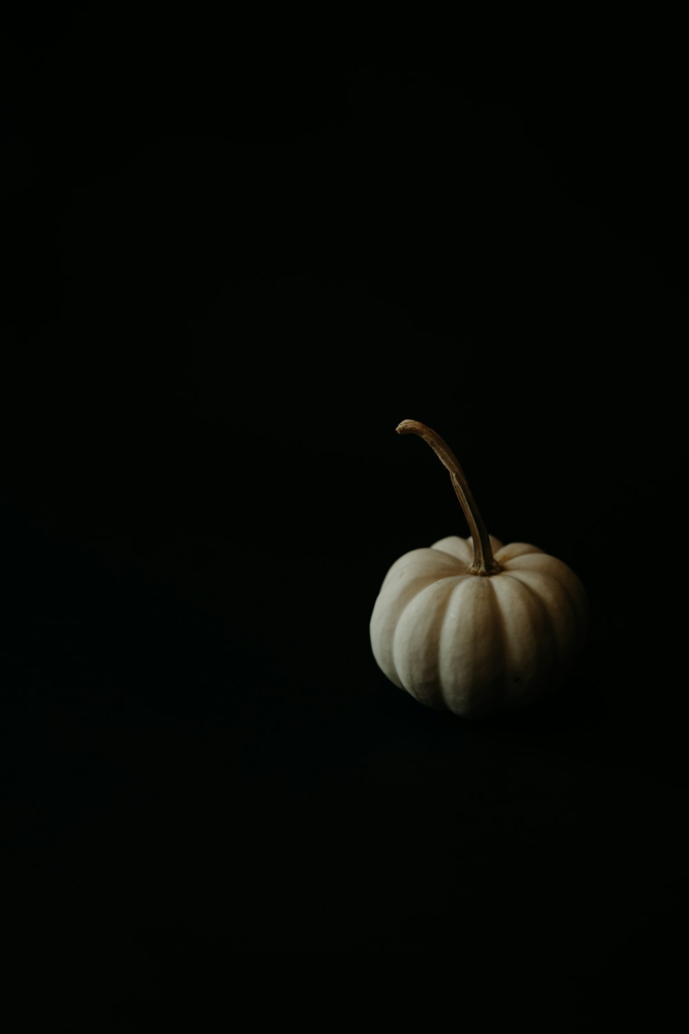 a white pumpkin on a black background