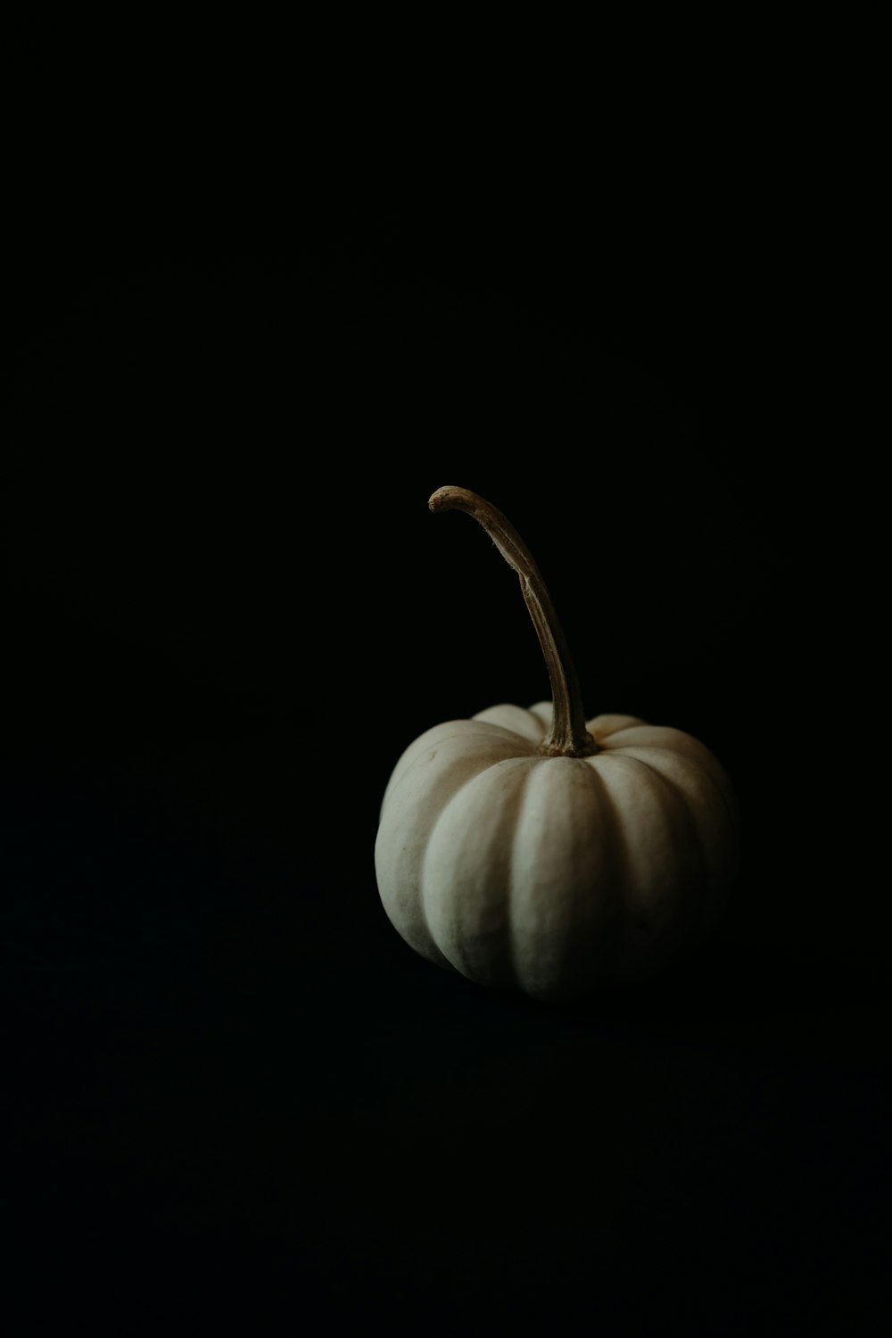 a white pumpkin on a black background