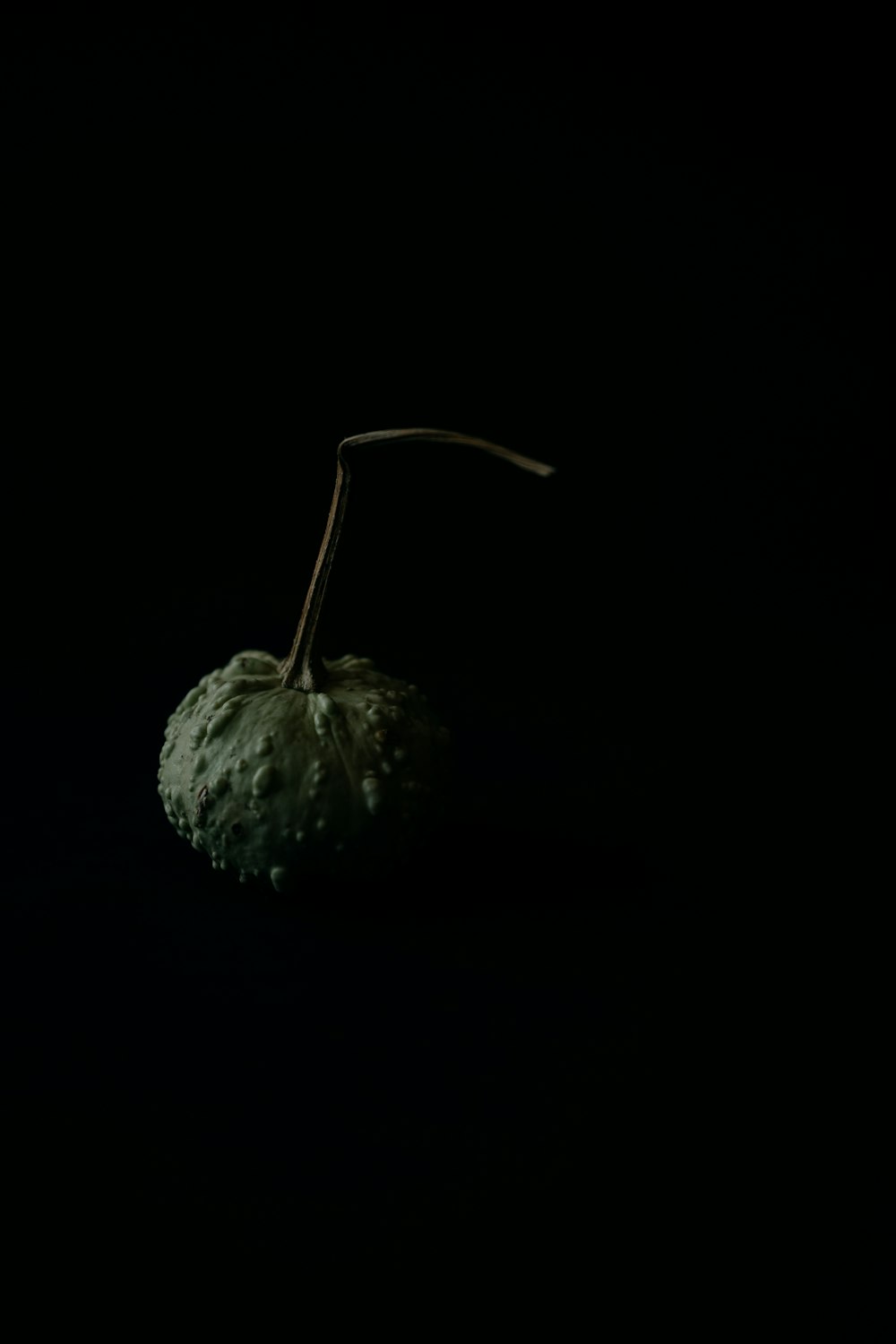a single green apple sitting on top of a black table