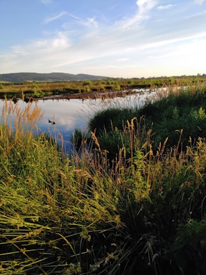 A serene landscape with a tranquil river reflecting the sky.