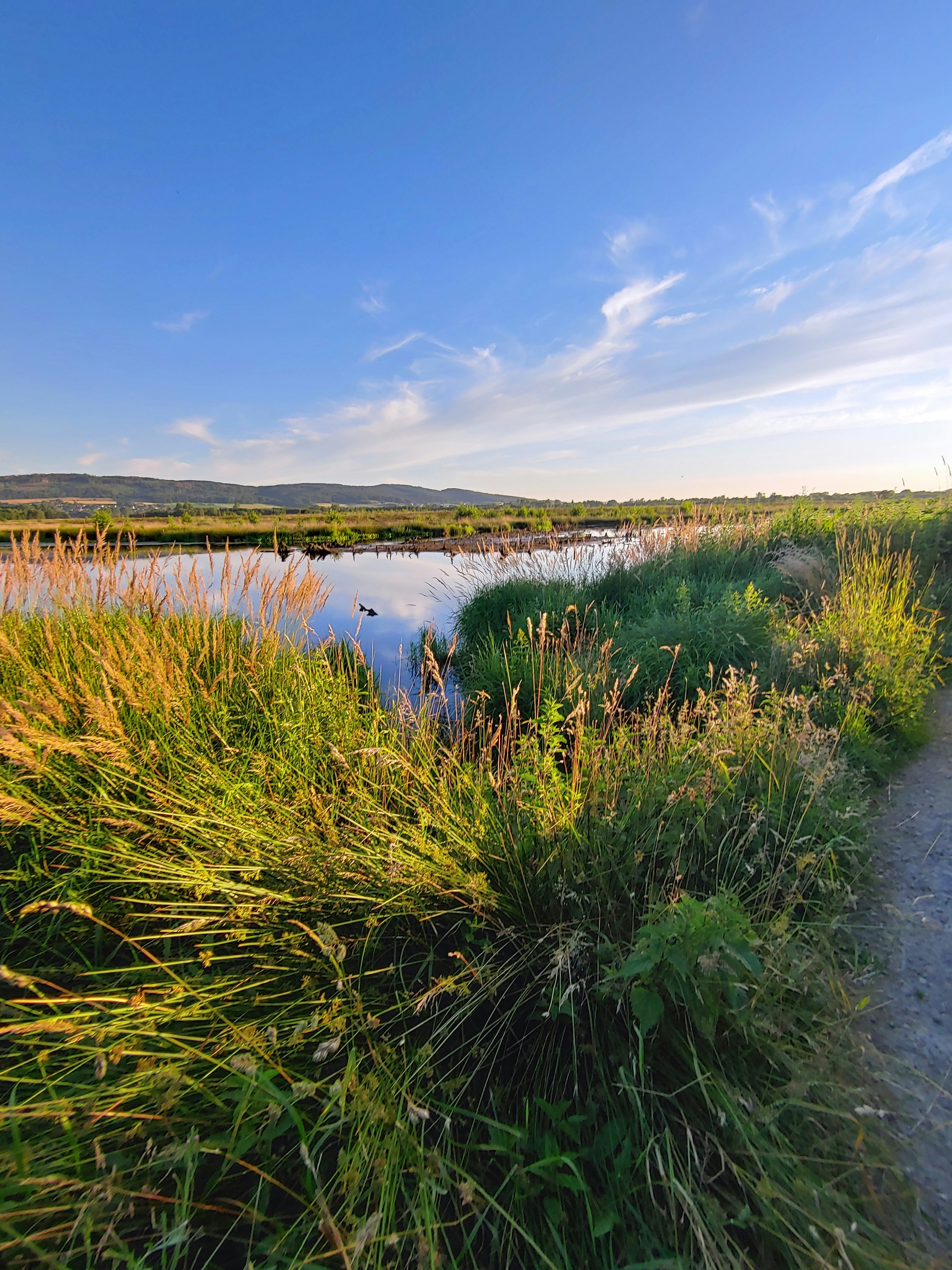 a path that is next to a body of water