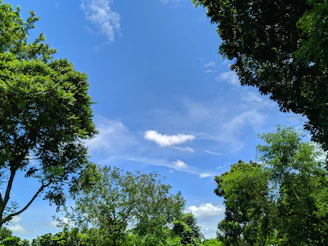 An inviting shot of a morning workout session in nature, with fresh greenery and clear blue sky.
