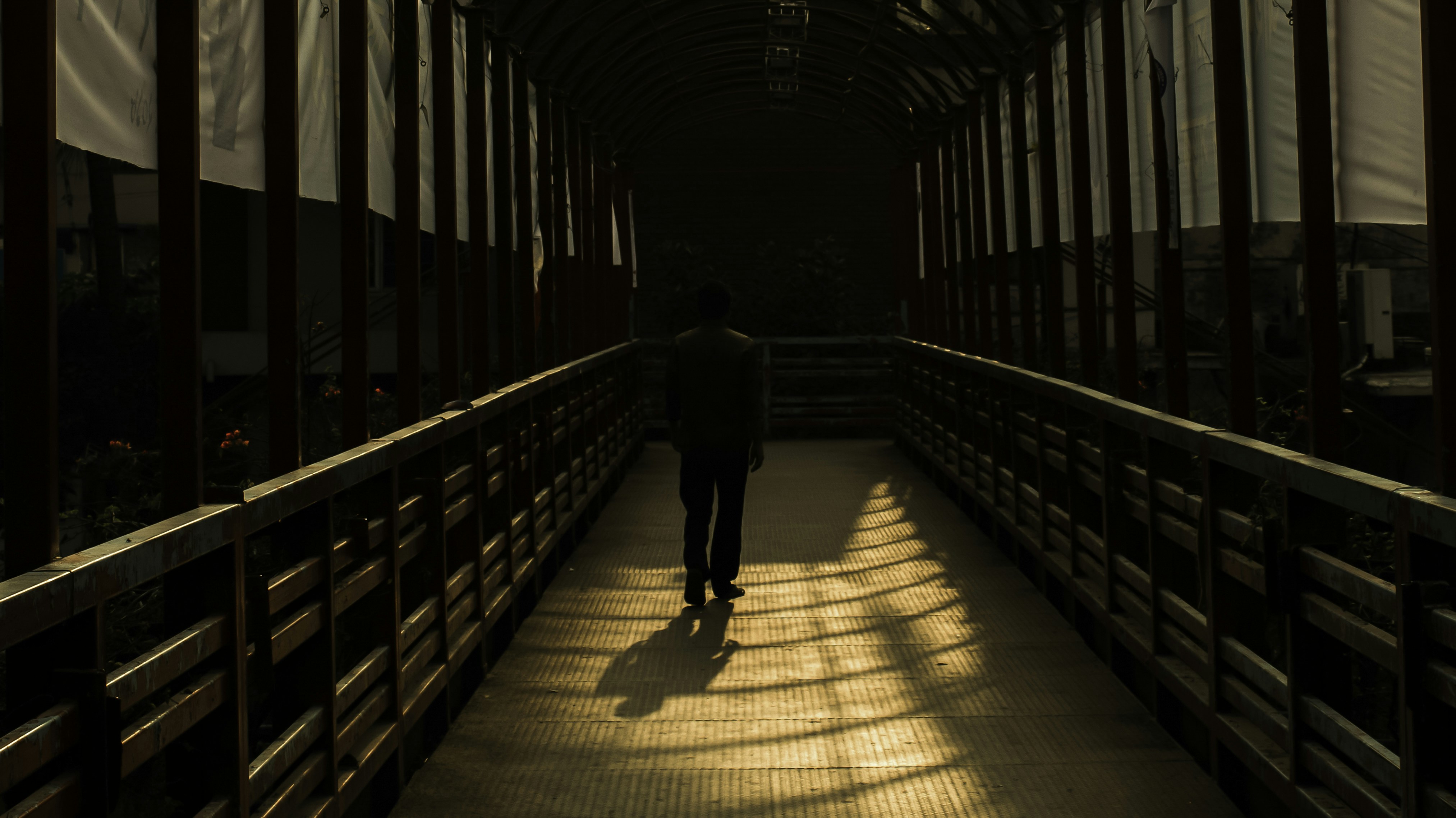 Photo by shouravsheikh