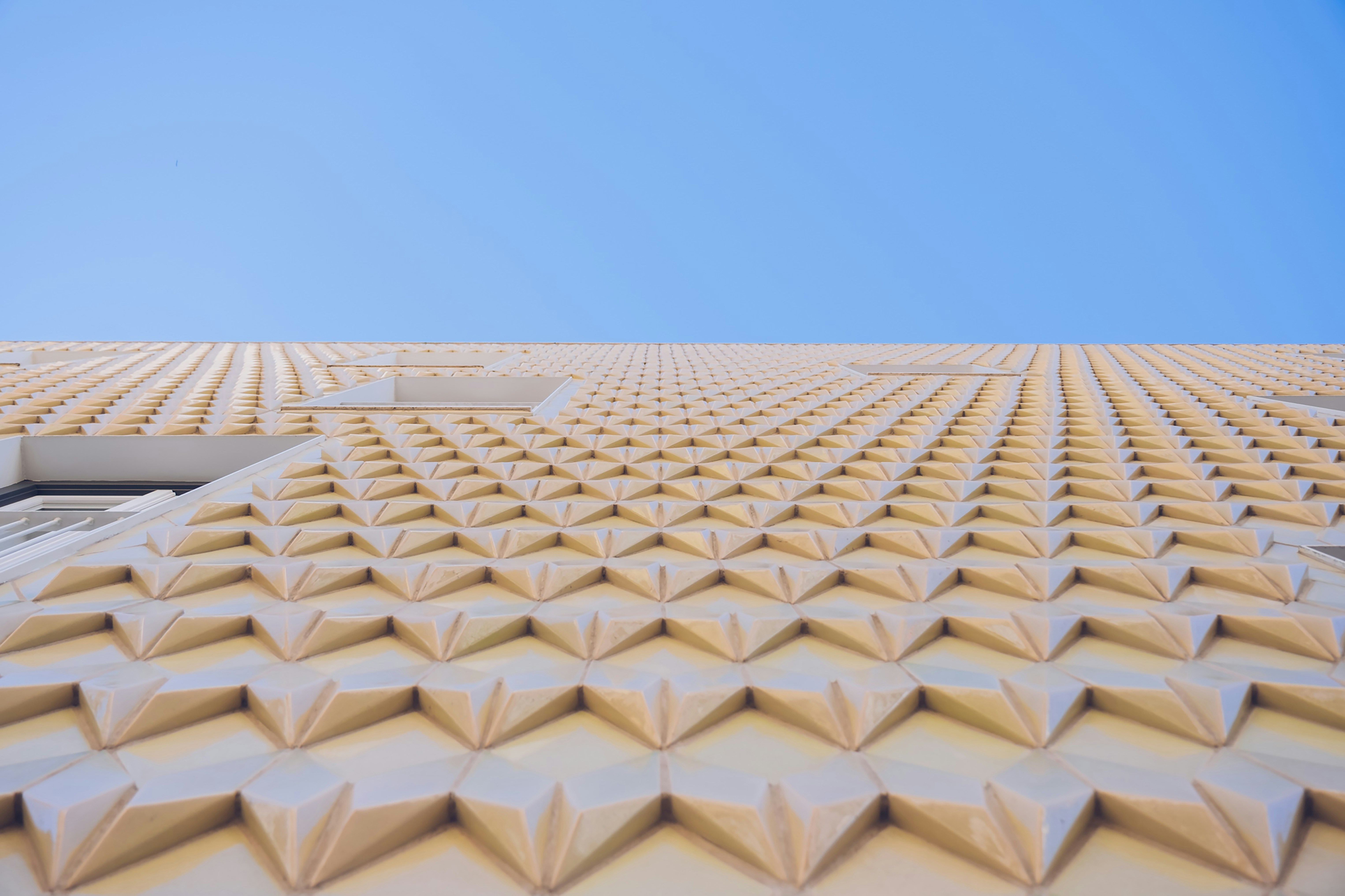 Photo by freguesiadeestrela